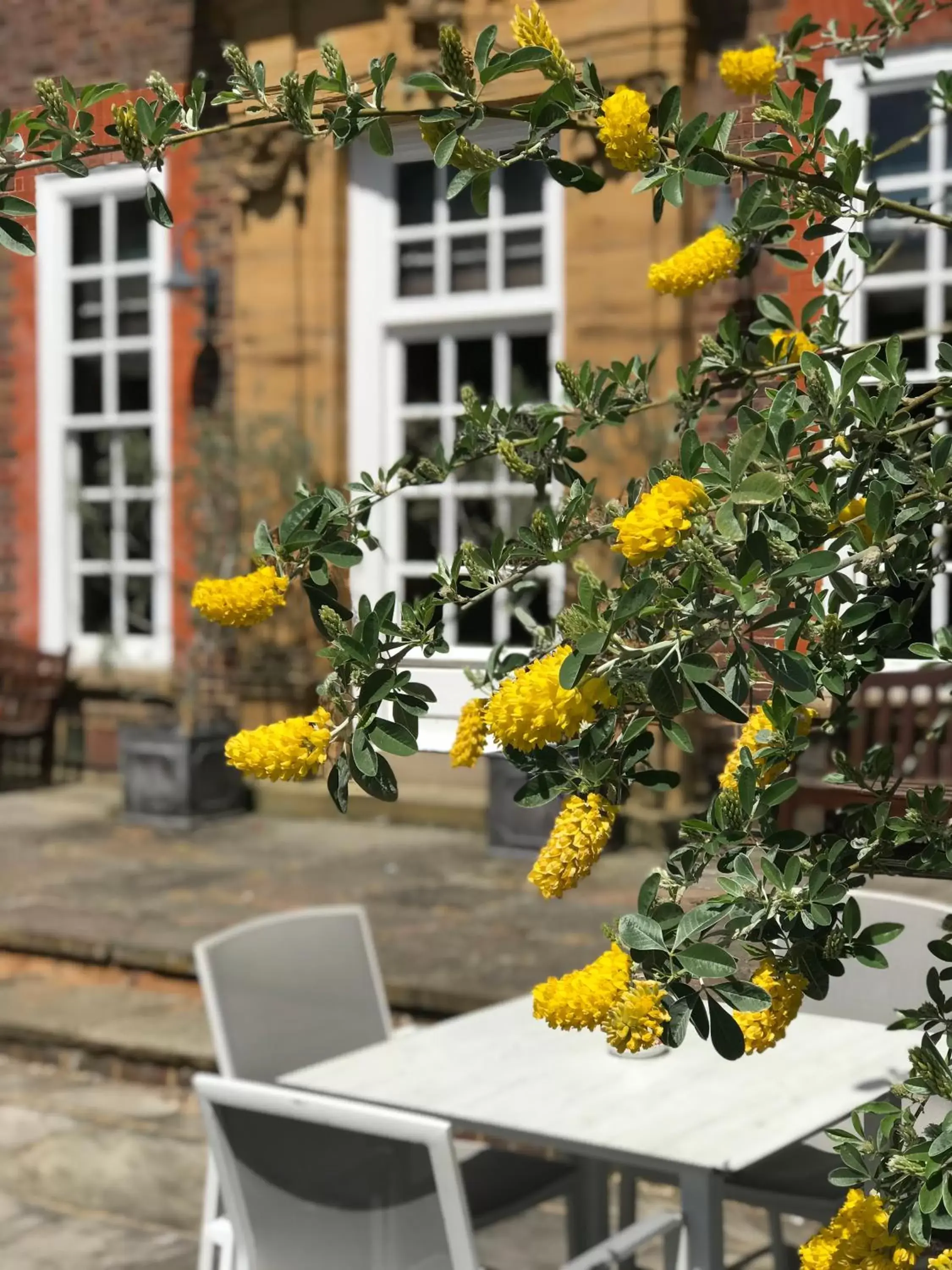 Patio in Barnett Hill Hotel