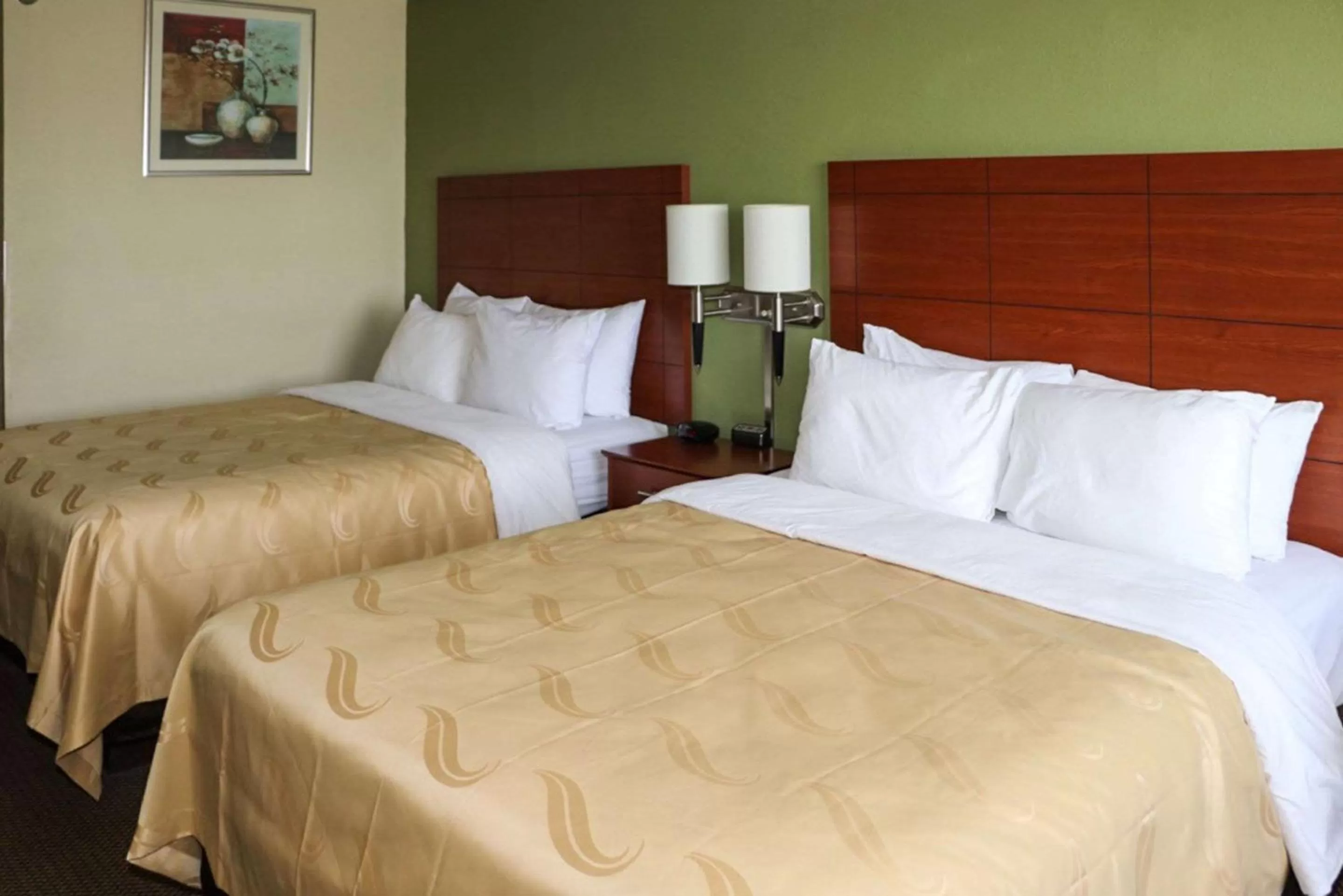 Photo of the whole room, Bed in Quality Inn Evansville Eastland Area