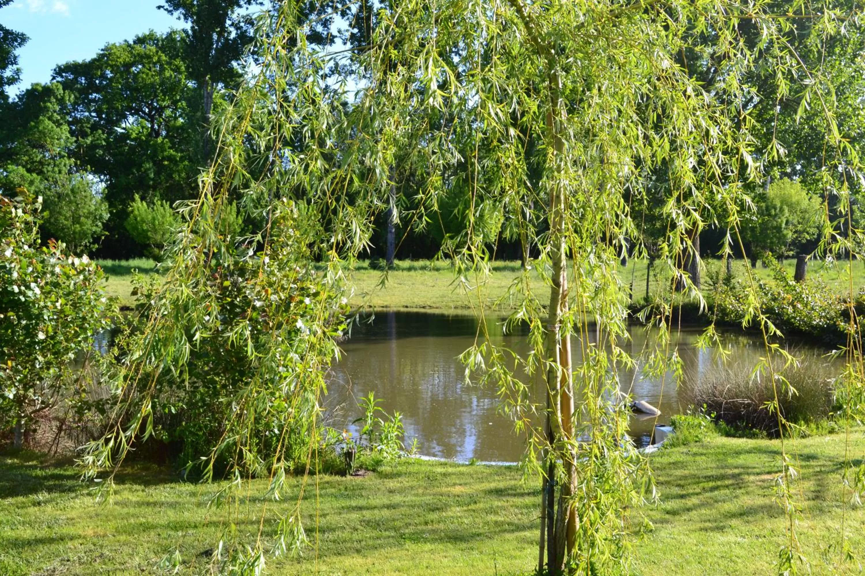 Property building, Garden in L'instant bleu