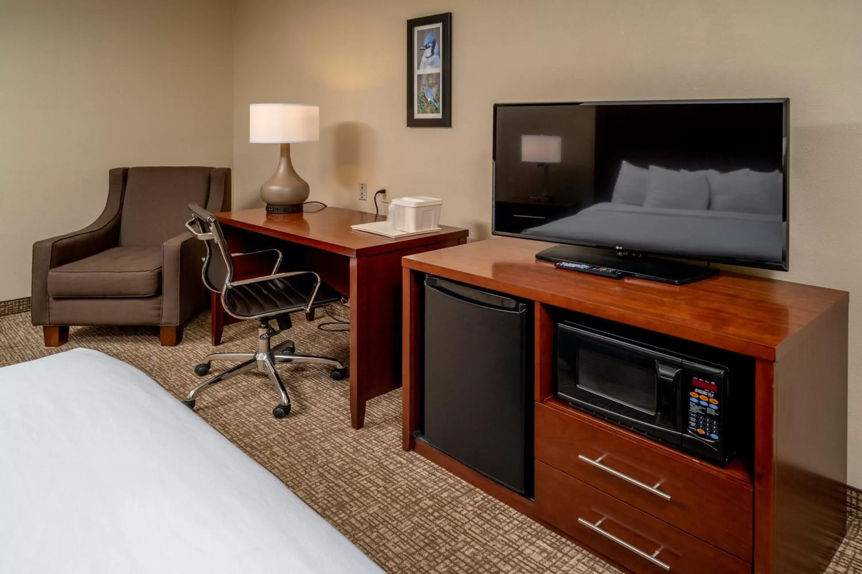 King Suite - Non-Smoking in Comfort Inn & Suites Grundy