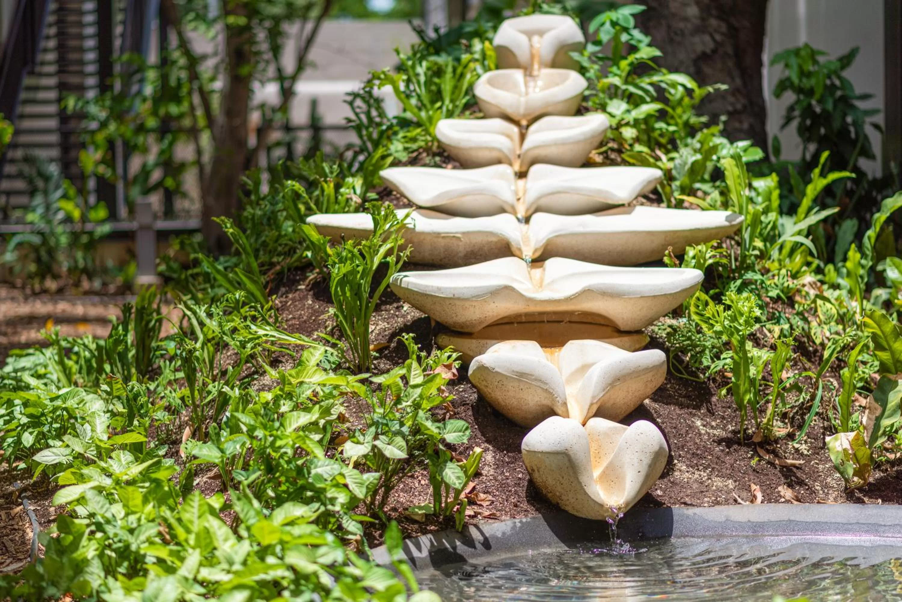 Other in Las Brisas Merida