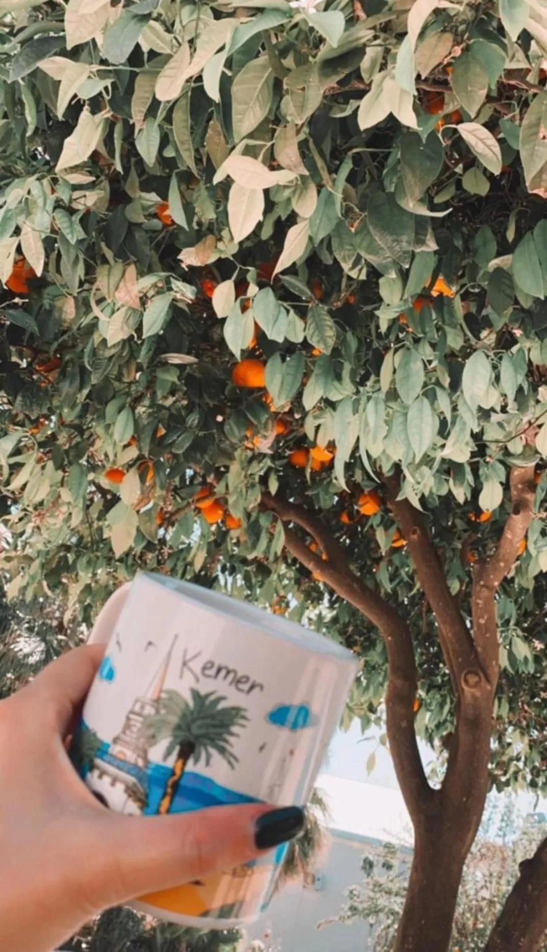 Restaurant/places to eat in Kiriş Garden Hotel