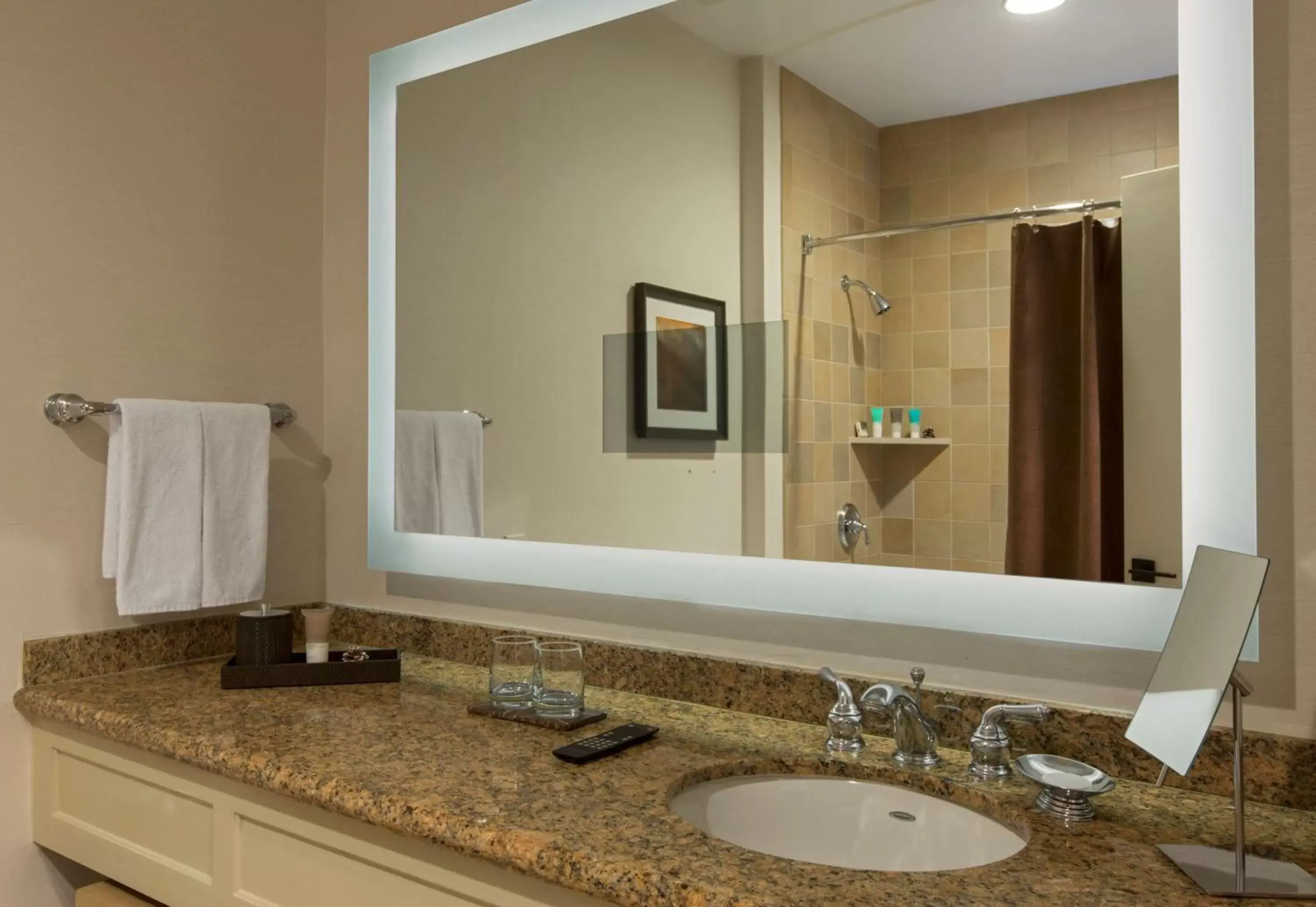 Bathroom in Hyatt Regency Lake Tahoe Resort, Spa & Casino