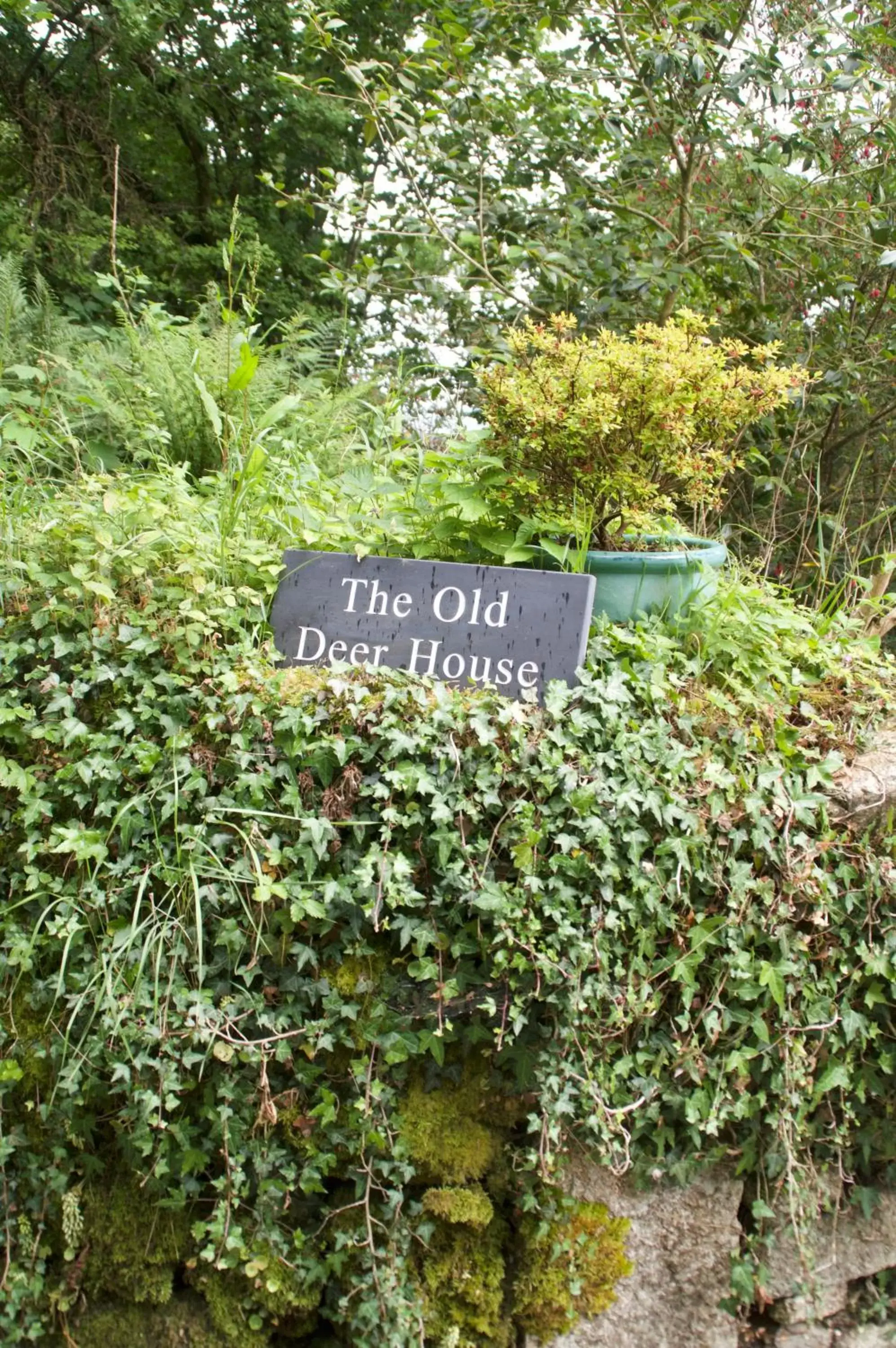 Property building in The Old Deer House