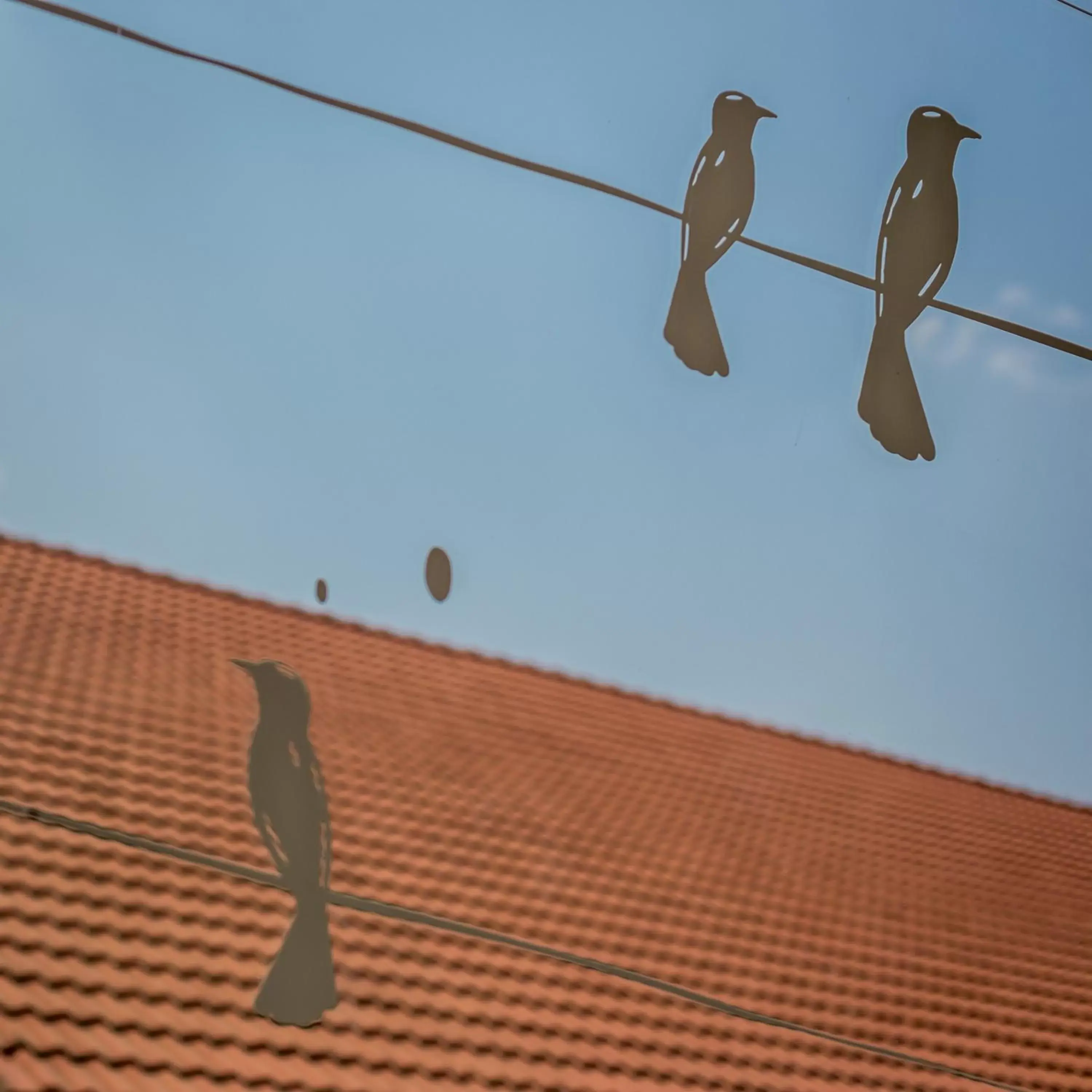 Bird's eye view, Other Activities in The Aviary Hotel