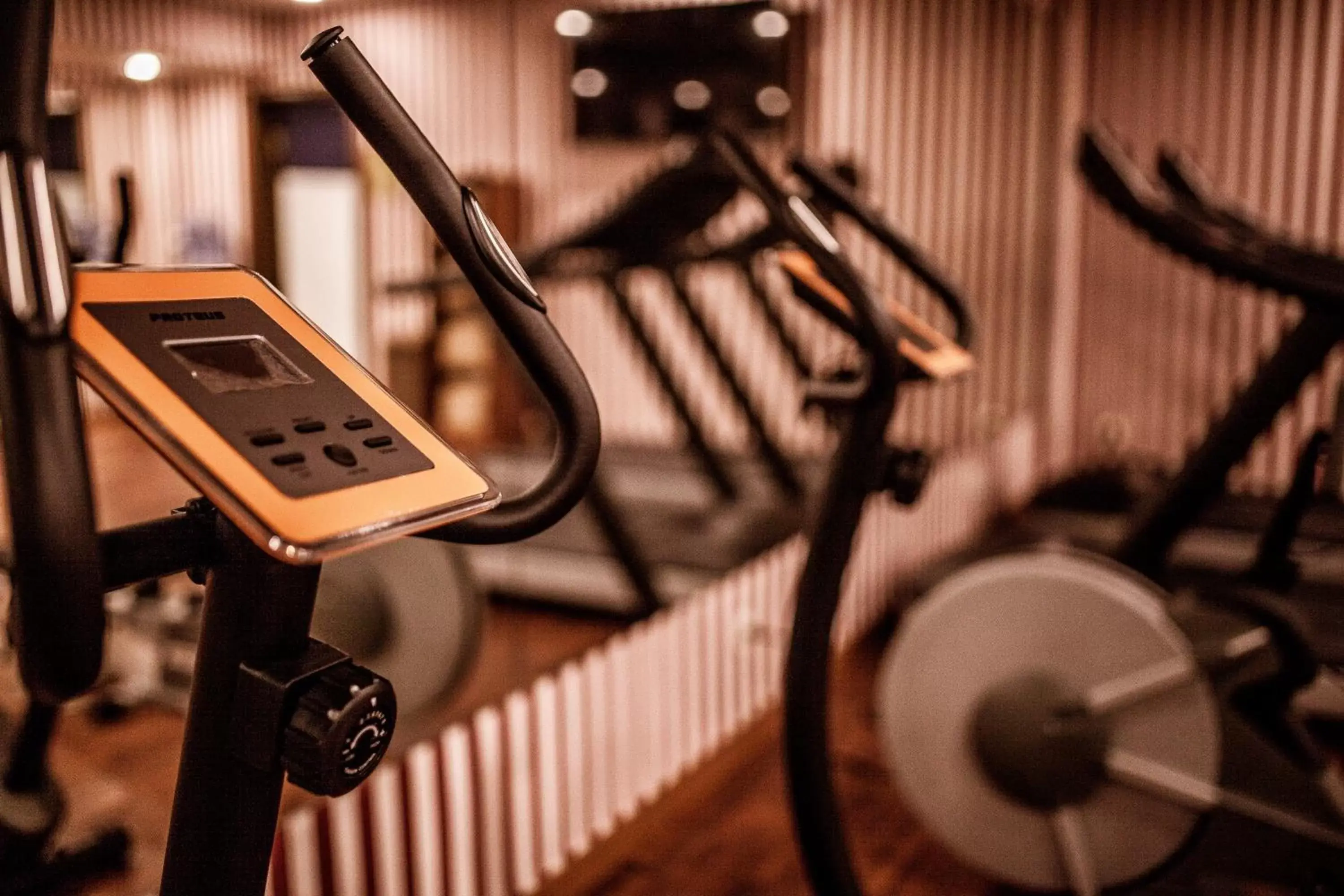 Fitness centre/facilities in Ramada by Wyndham Almaty Fitness centre/facilities in Ramada by Wyndham Almaty