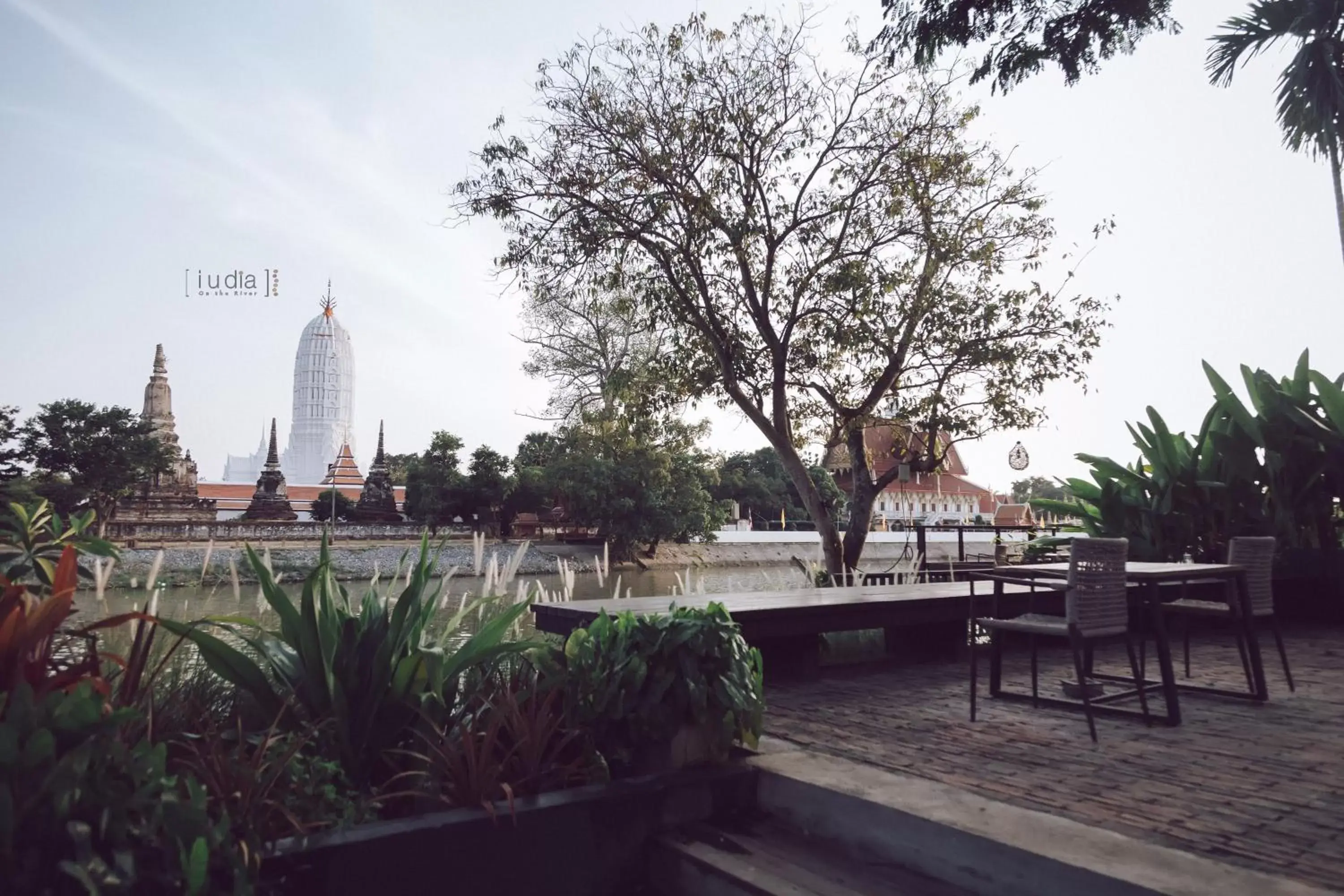 Garden in iuDia Hotel