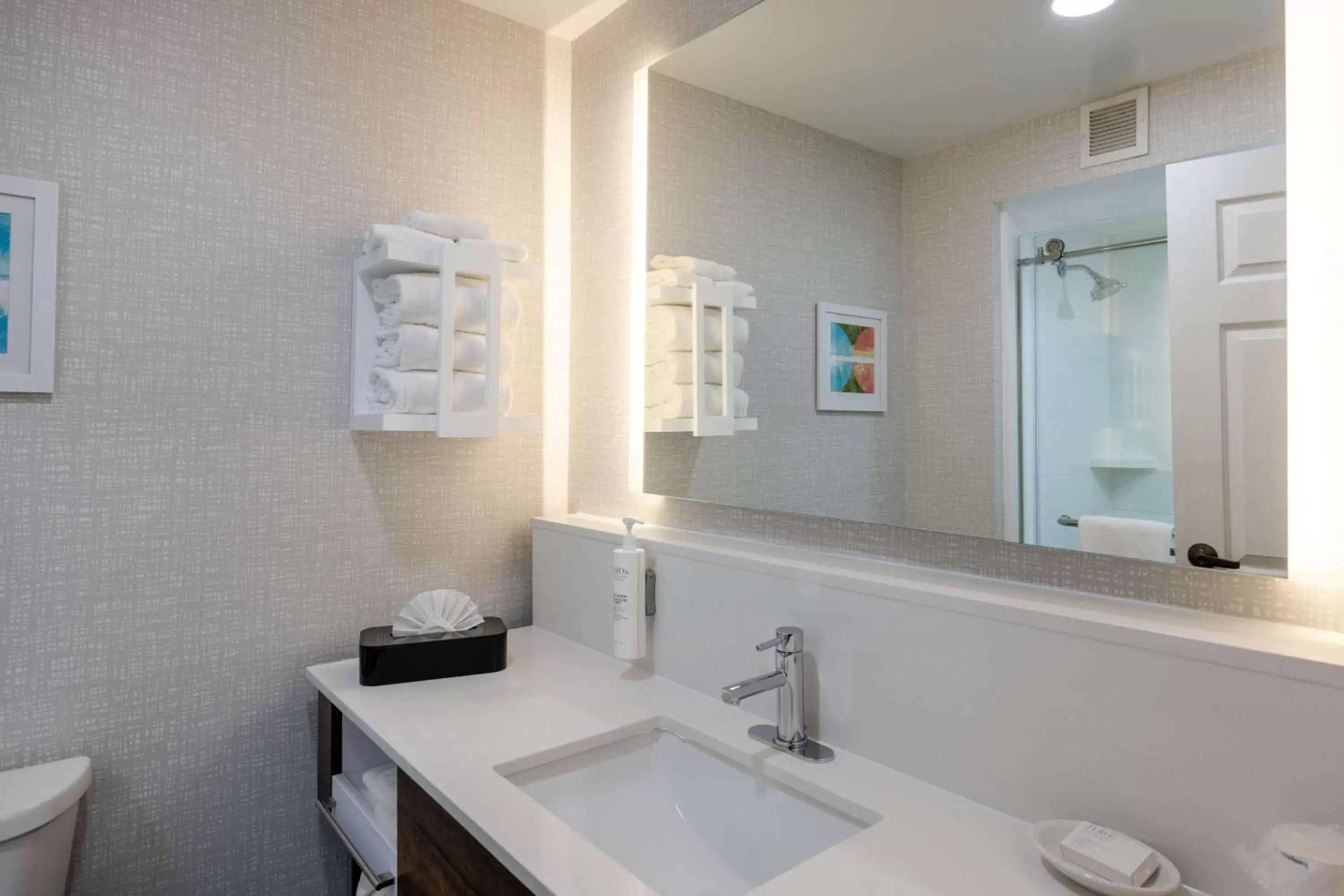 Bathroom in Hampton Inn & Suites Alpharetta Roswell