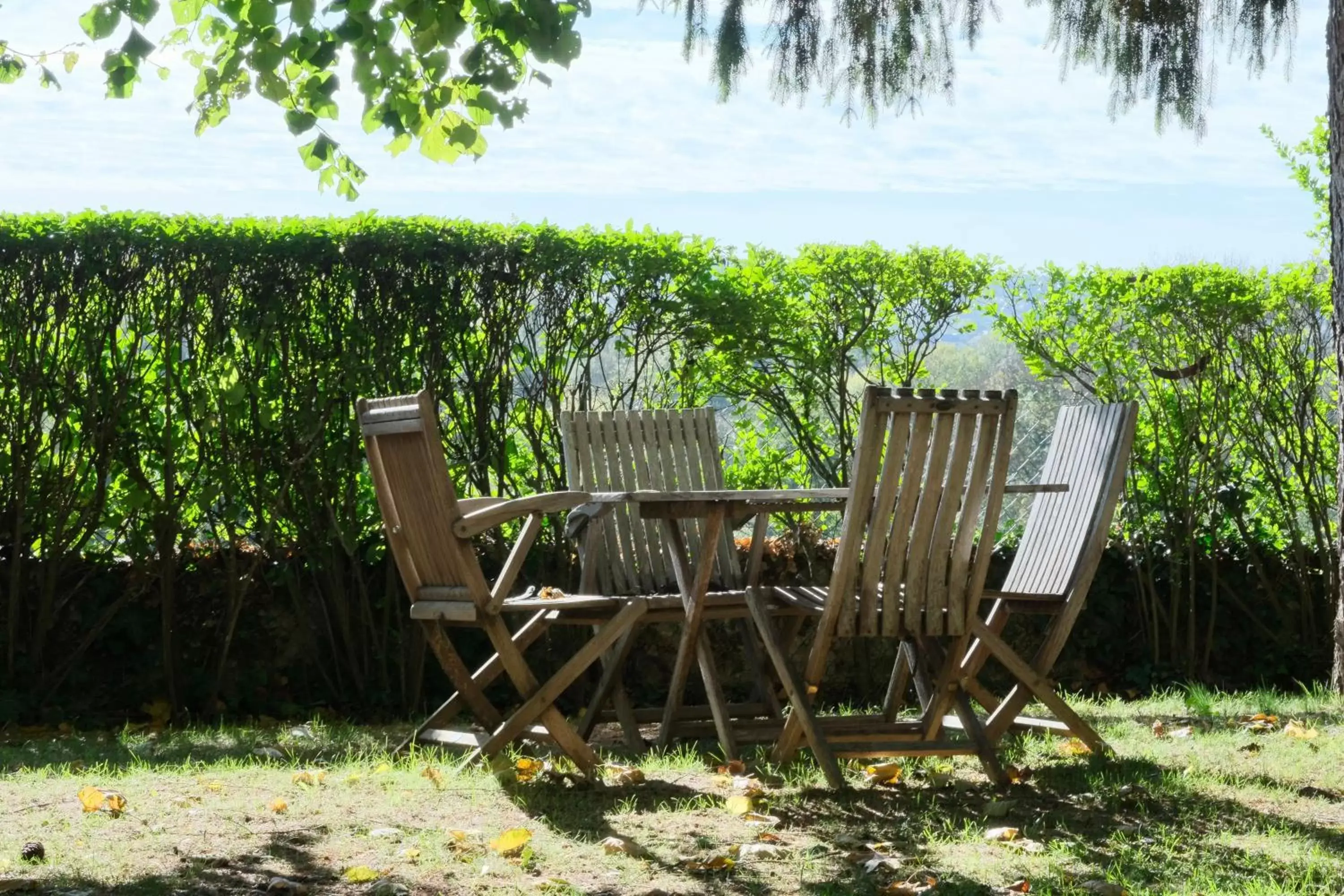 Garden in Château de Nazelles Amboise