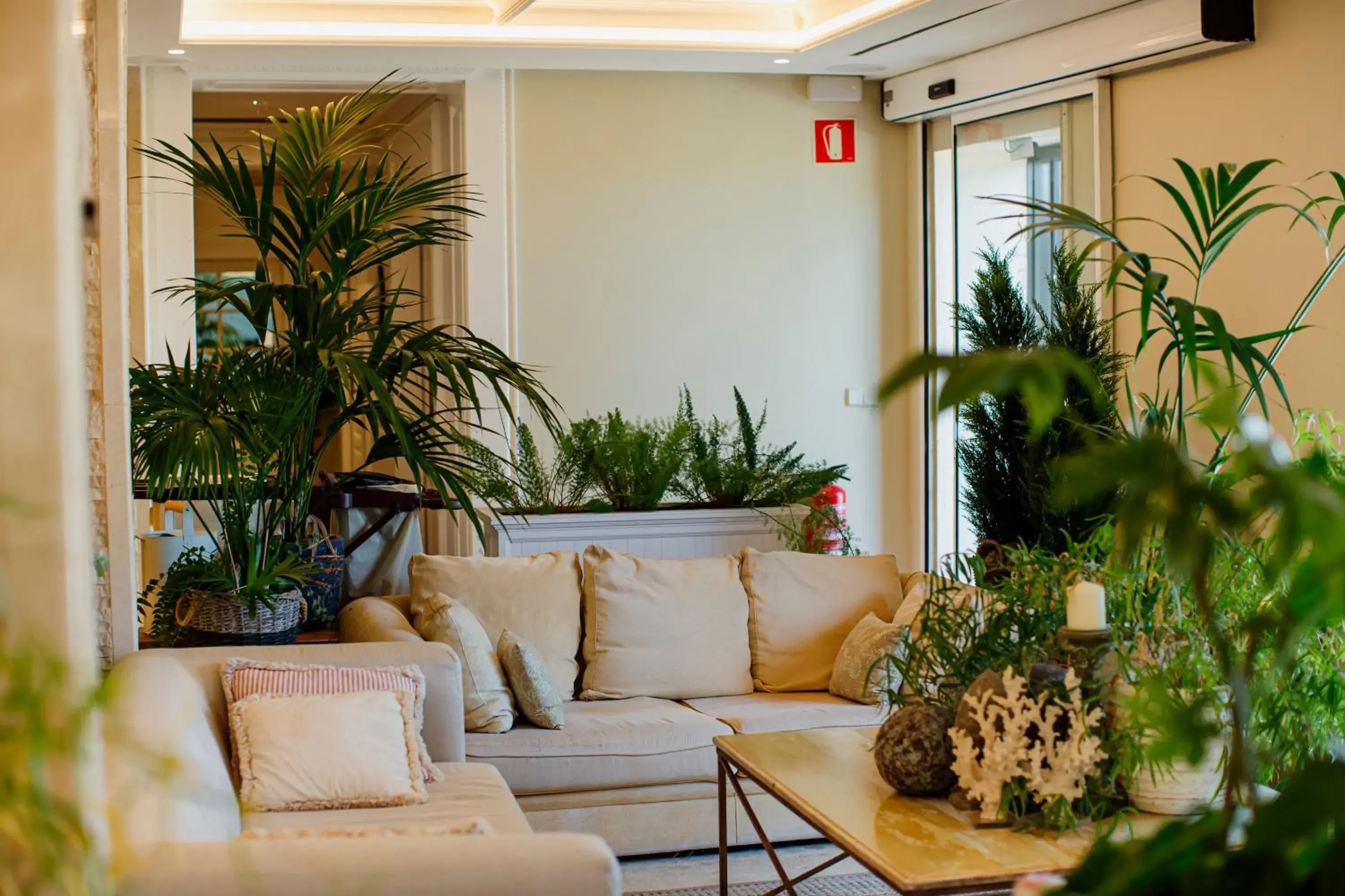 Lobby or reception in Hotel Los Ángeles Denia