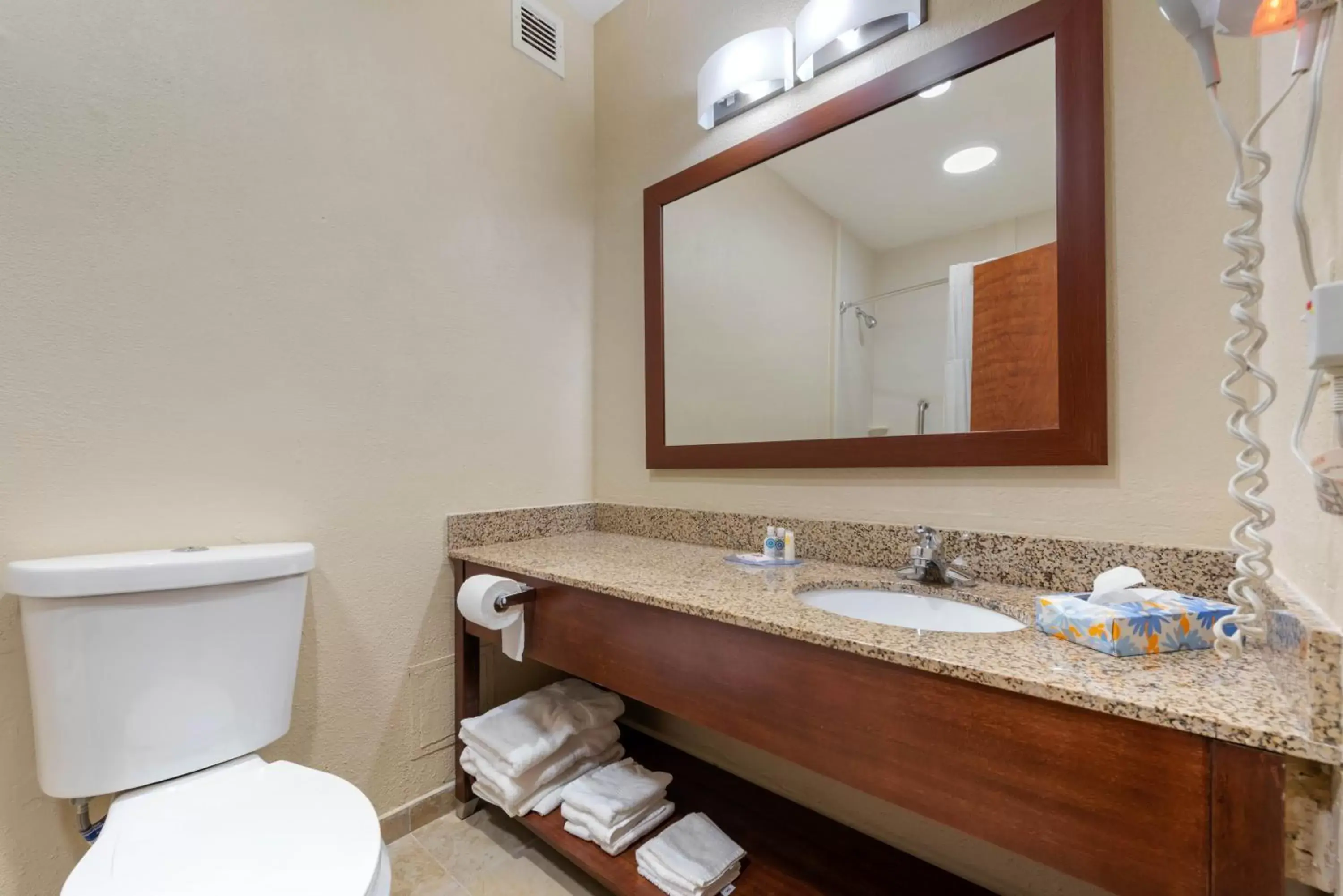 Toilet, Bathroom in Comfort Inn & Suites Michigan City