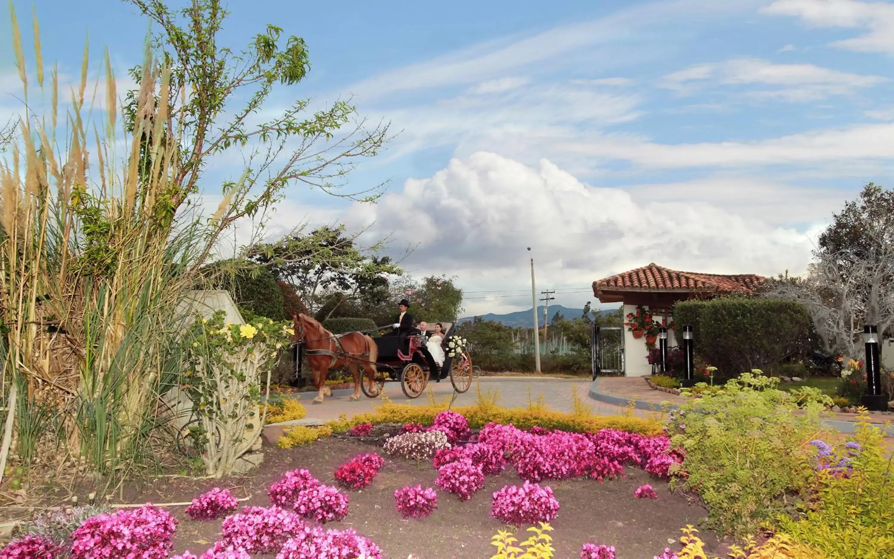 Garden in Hotel Casa de los Fundadores