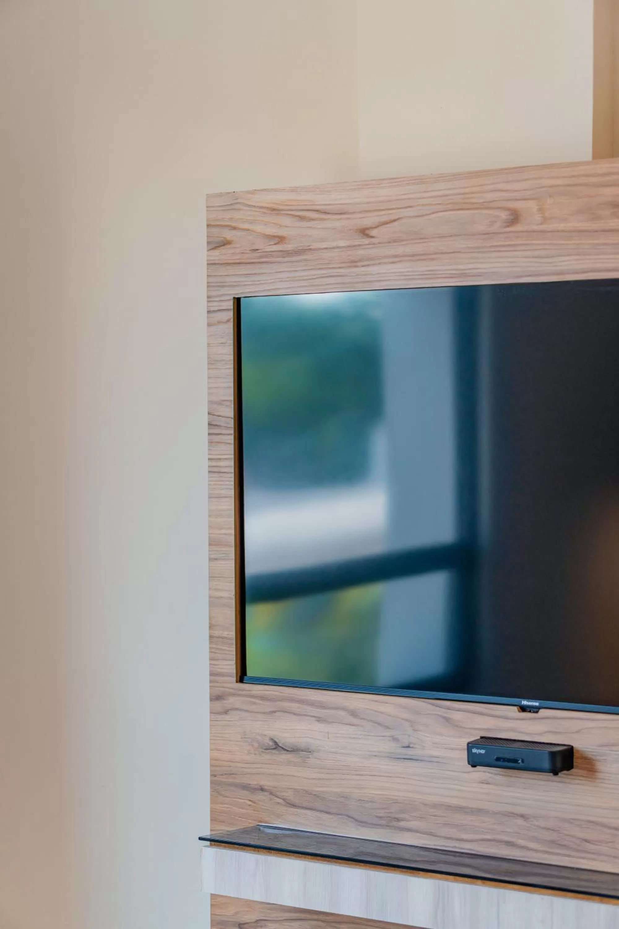 TV and multimedia in Hotel Central Merida by Kavia