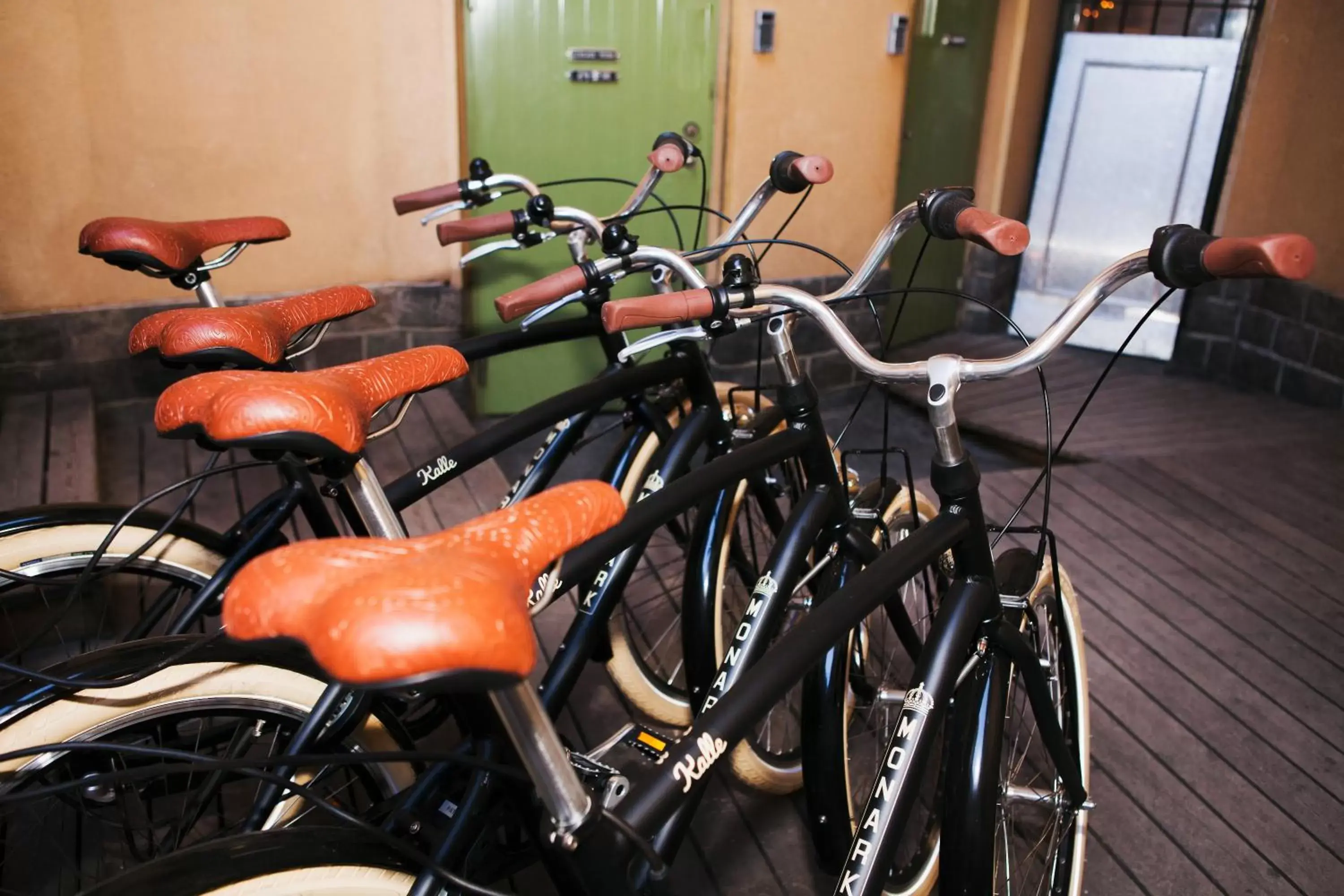 Cycling, Other Activities in City Backpackers Hostel