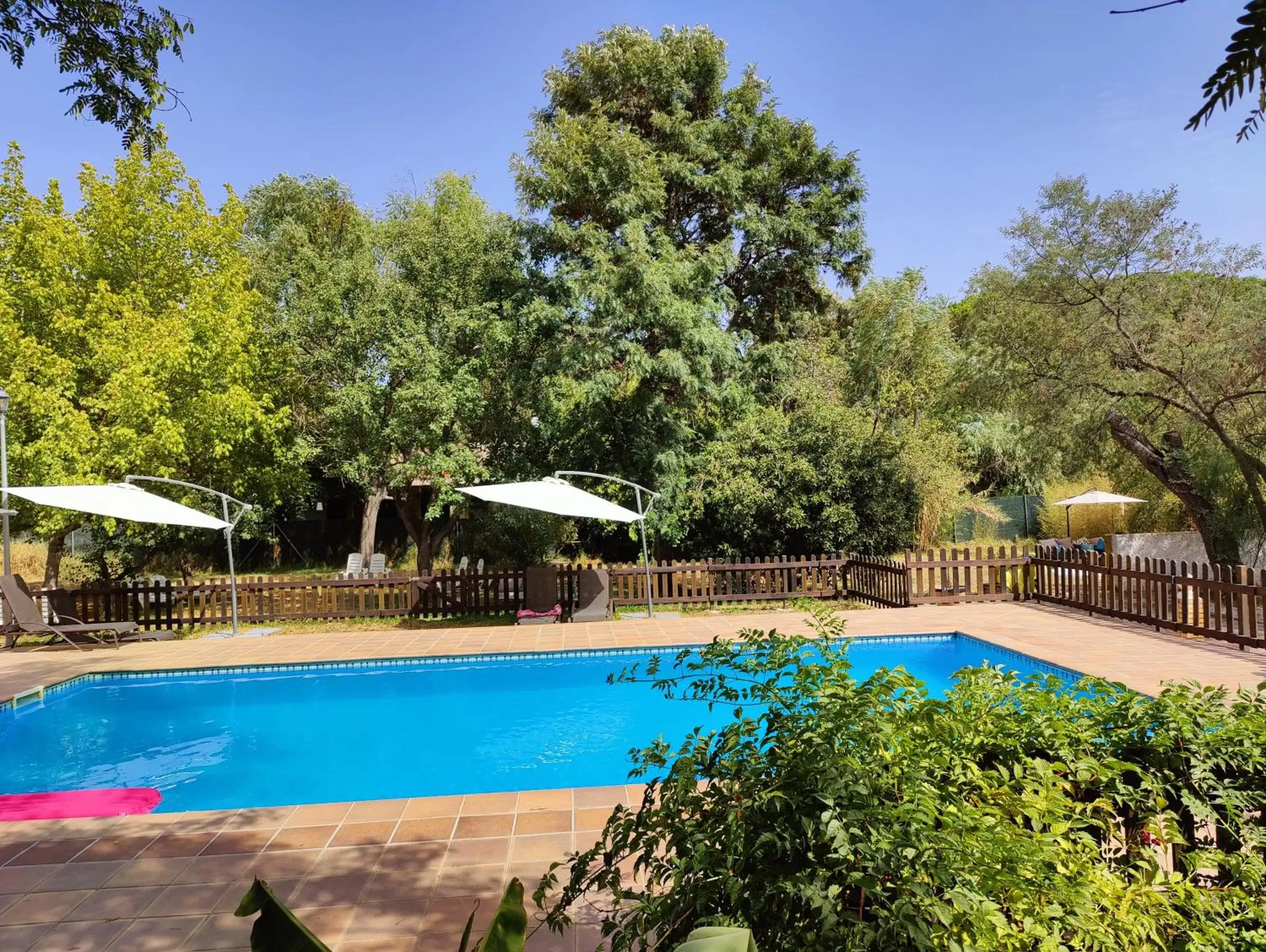 Pool view, Swimming Pool in Cortijo Los Conquistadores