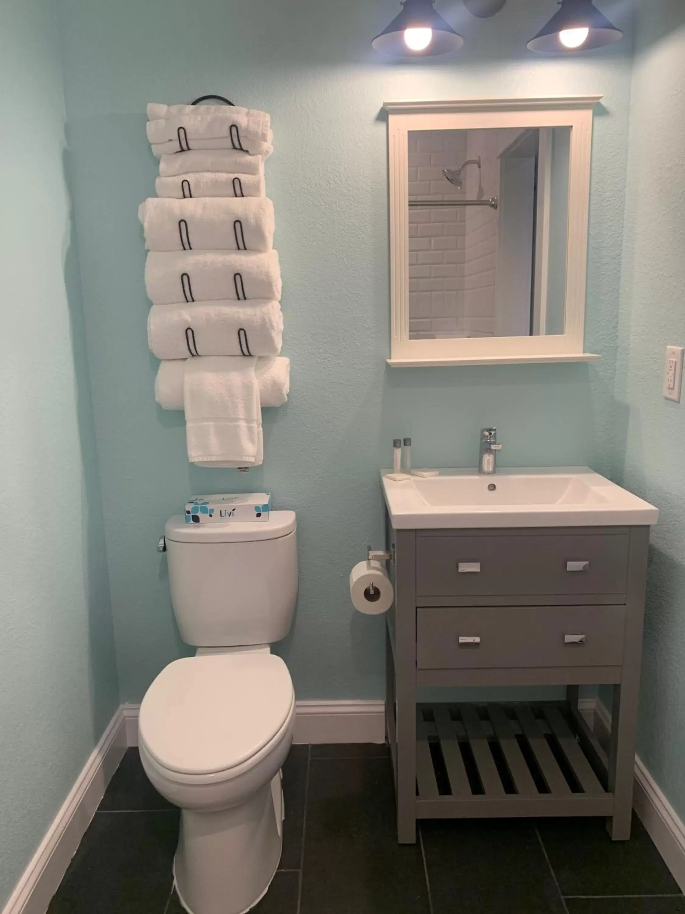 Toilet, Bathroom in John Yancey Oceanfront Inn