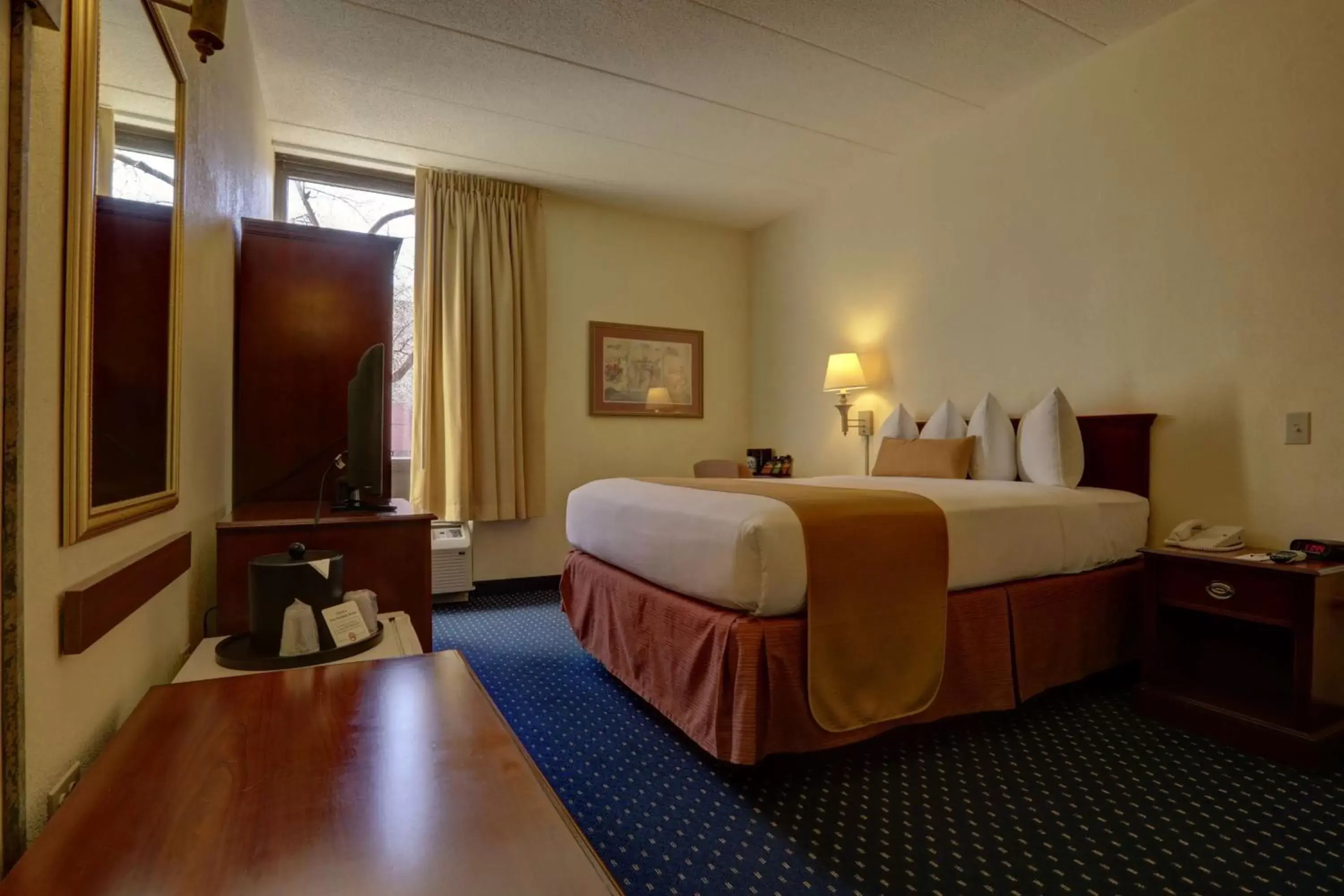 Photo of the whole room, Bed in SureStay Plus Hotel by Best Western Chicago Lombard