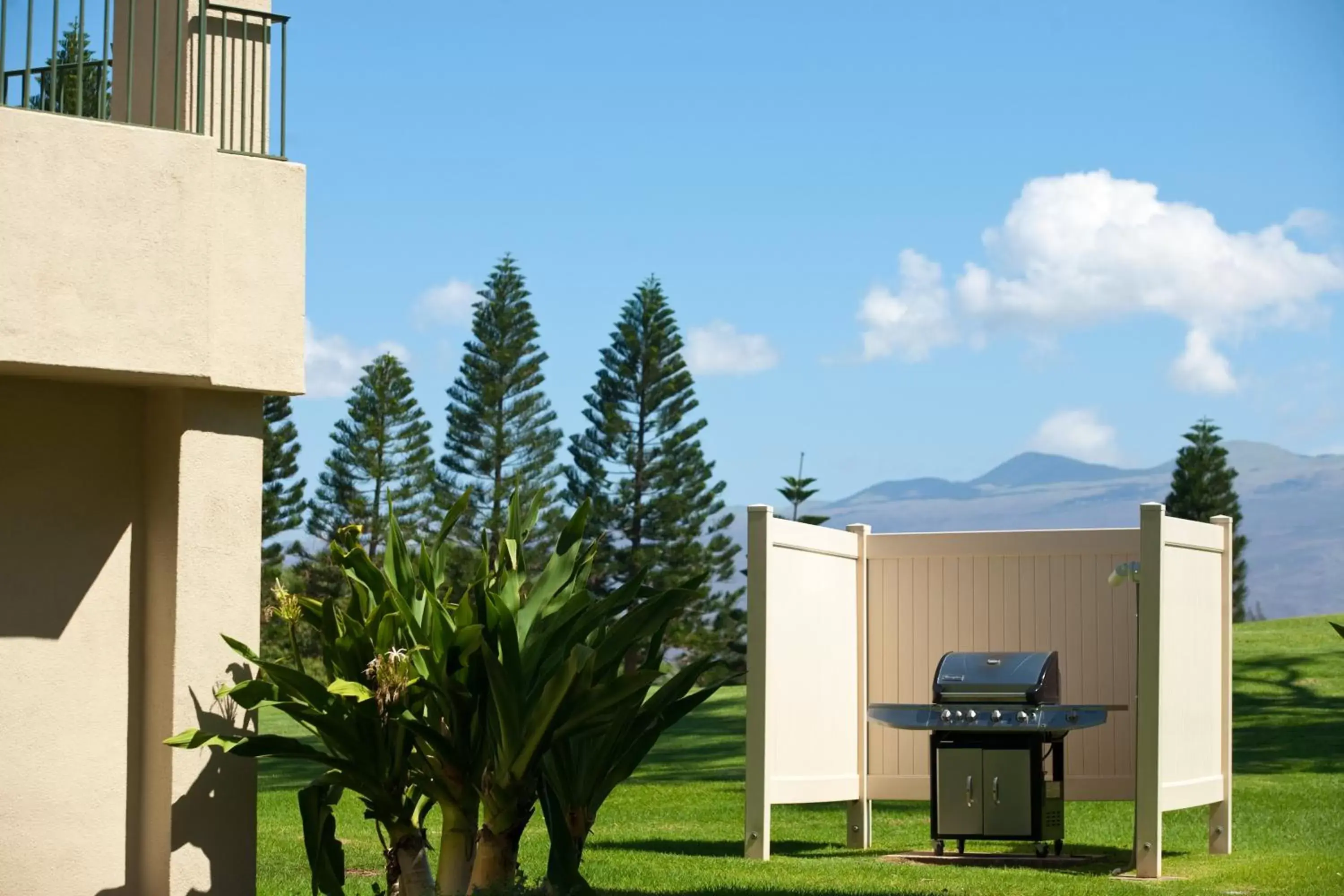 BBQ facilities in Paniolo Greens Resort