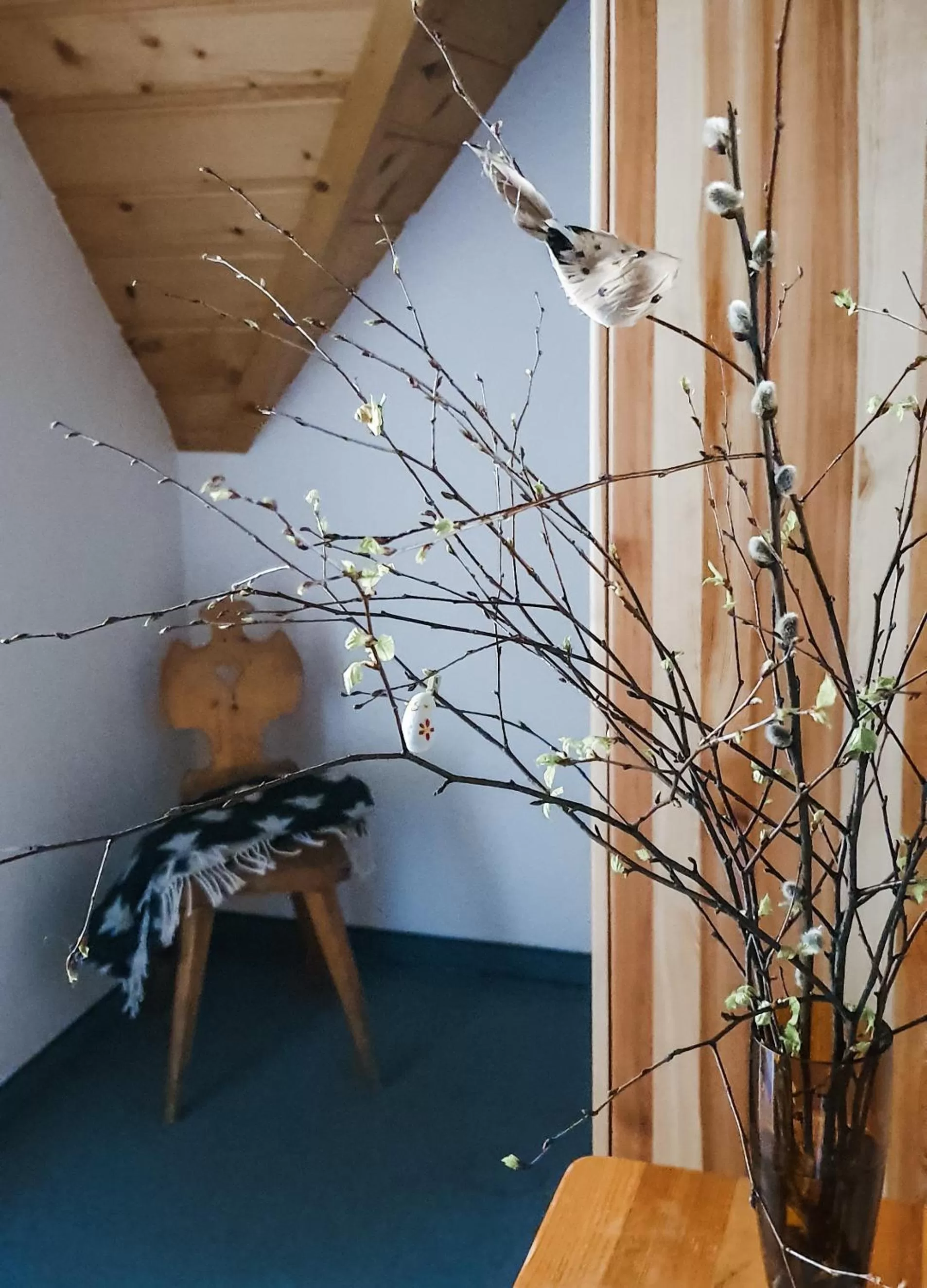 Other in Zakopane Stop