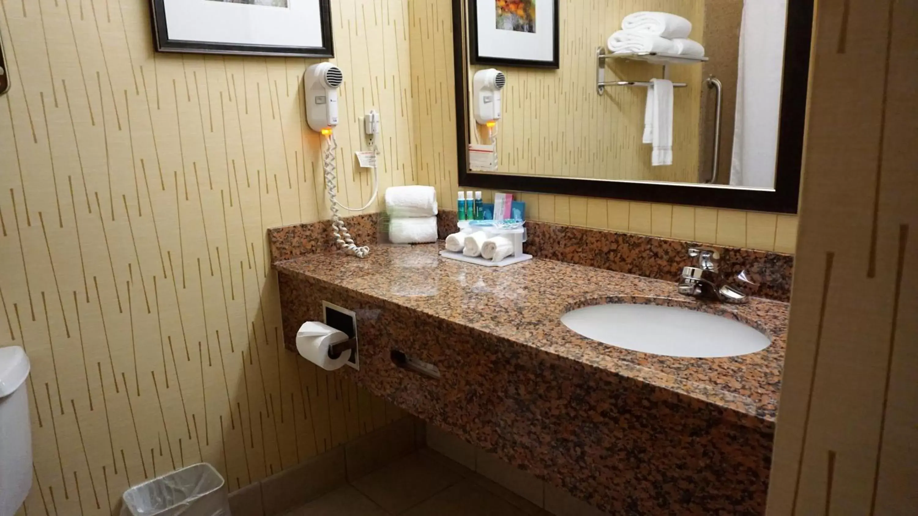 Bathroom in Holiday Inn Express & Suites Gibson, an IHG Hotel