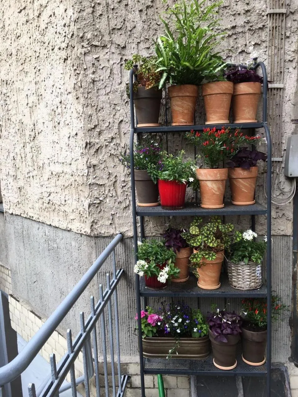 Day in Hotel Elba am Kurfürstendamm - Design Chambers