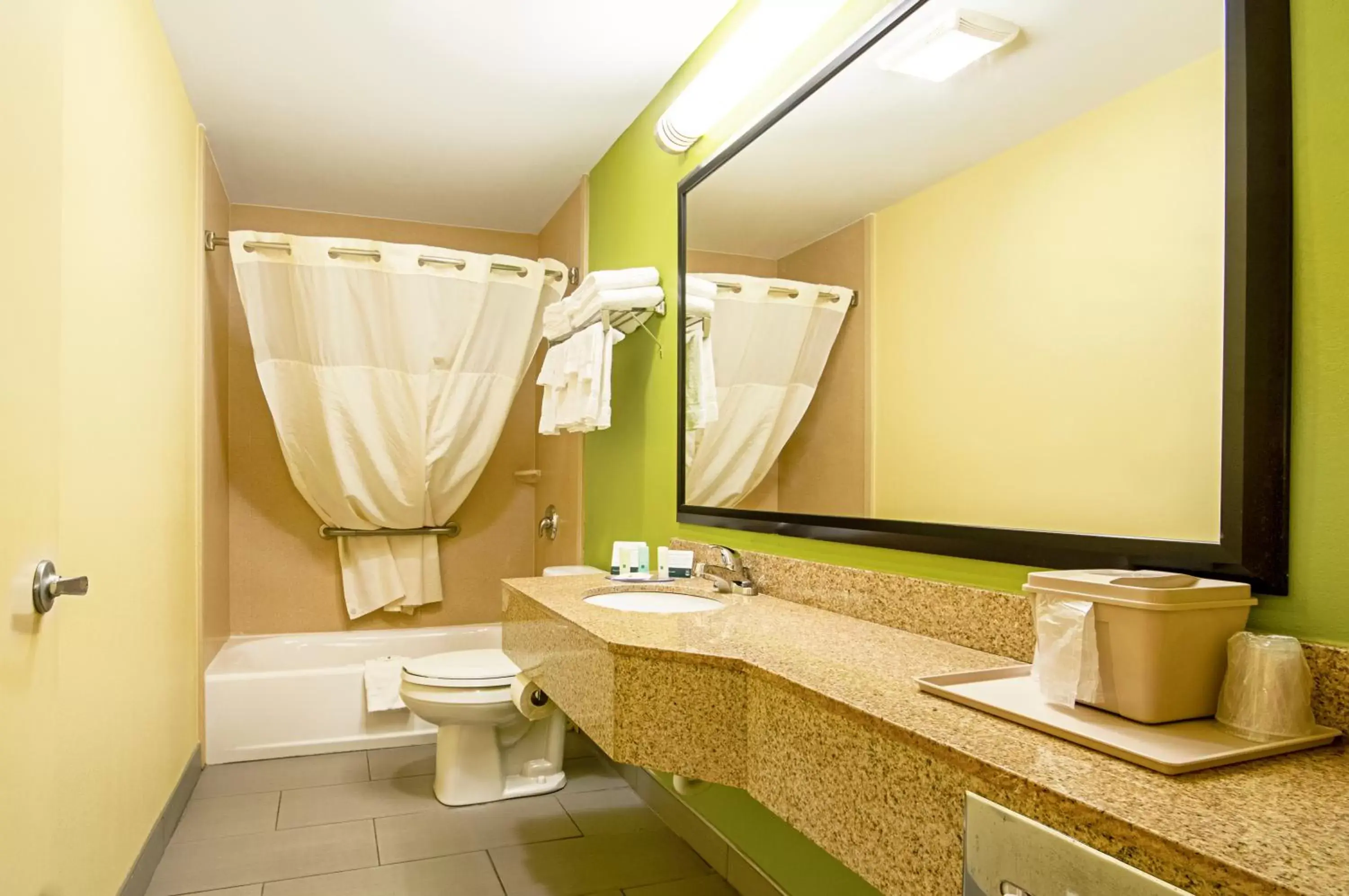 Bathroom in Quality Inn & Suites Glenmont - Albany South