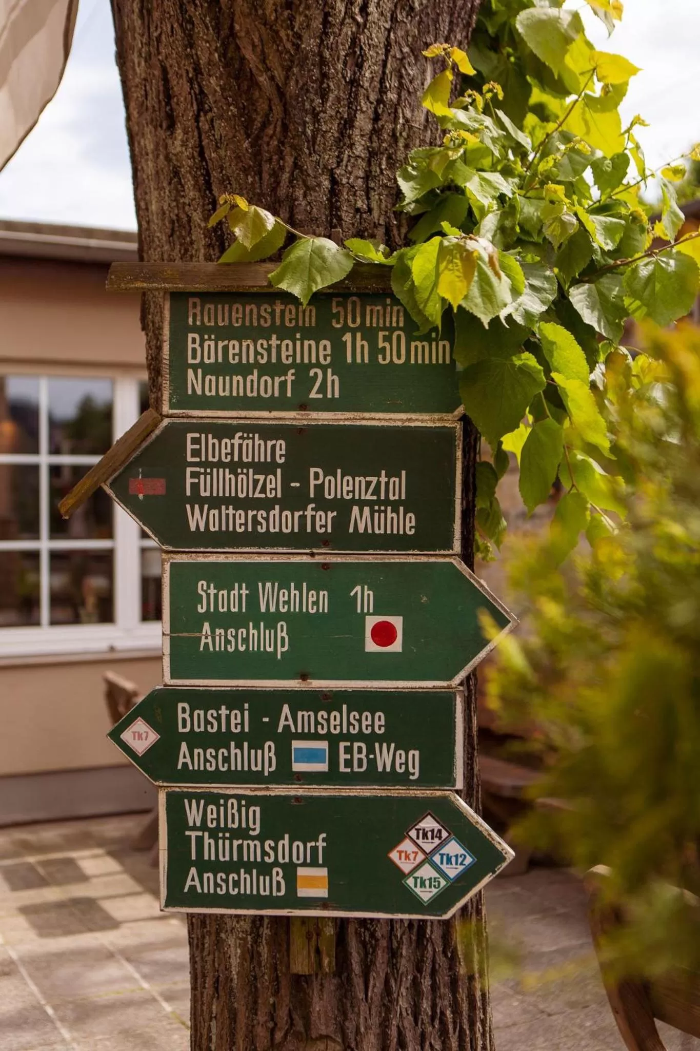 Hiking in Hotel Ettrich & Elbresort Rathen