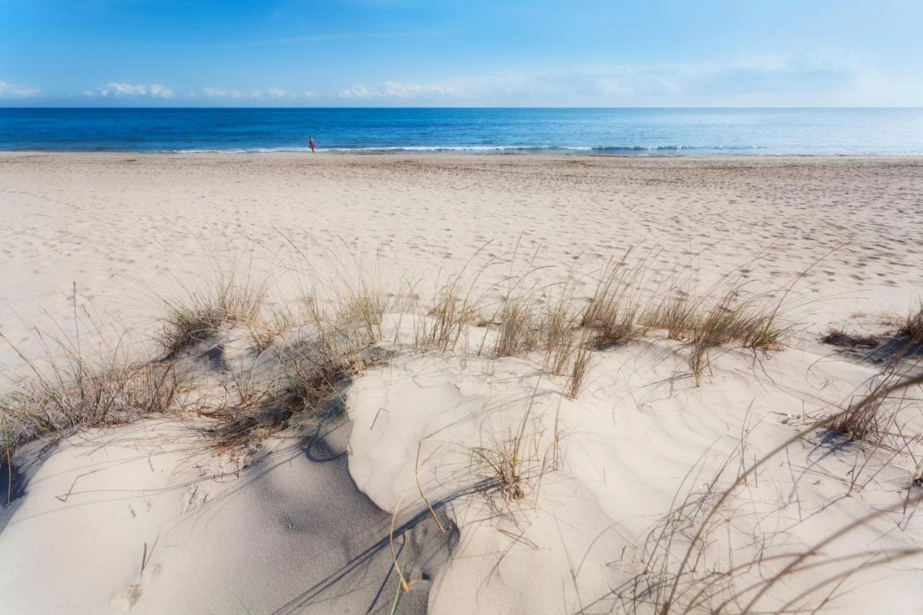 Area and facilities in Thalasia Costa de Murcia