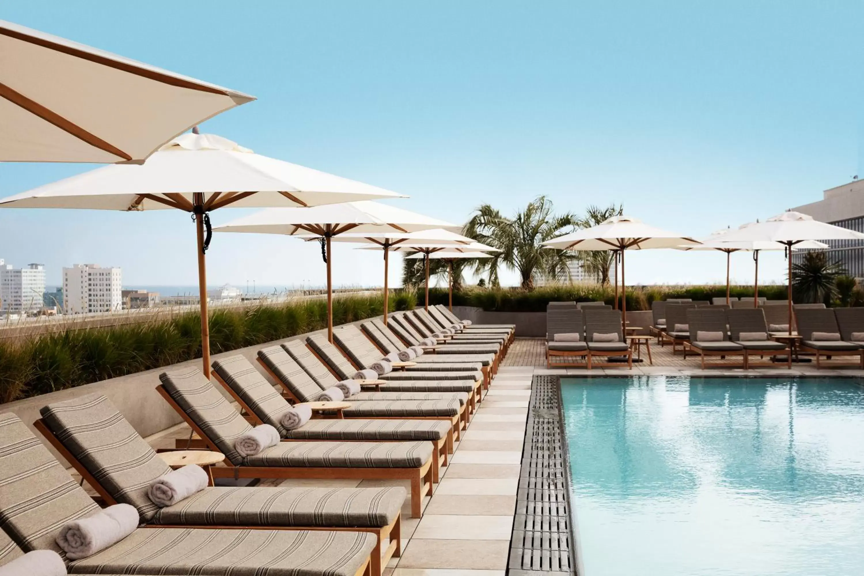 Natural landscape, Swimming Pool in Santa Monica Proper Hotel, a Member of Design Hotels