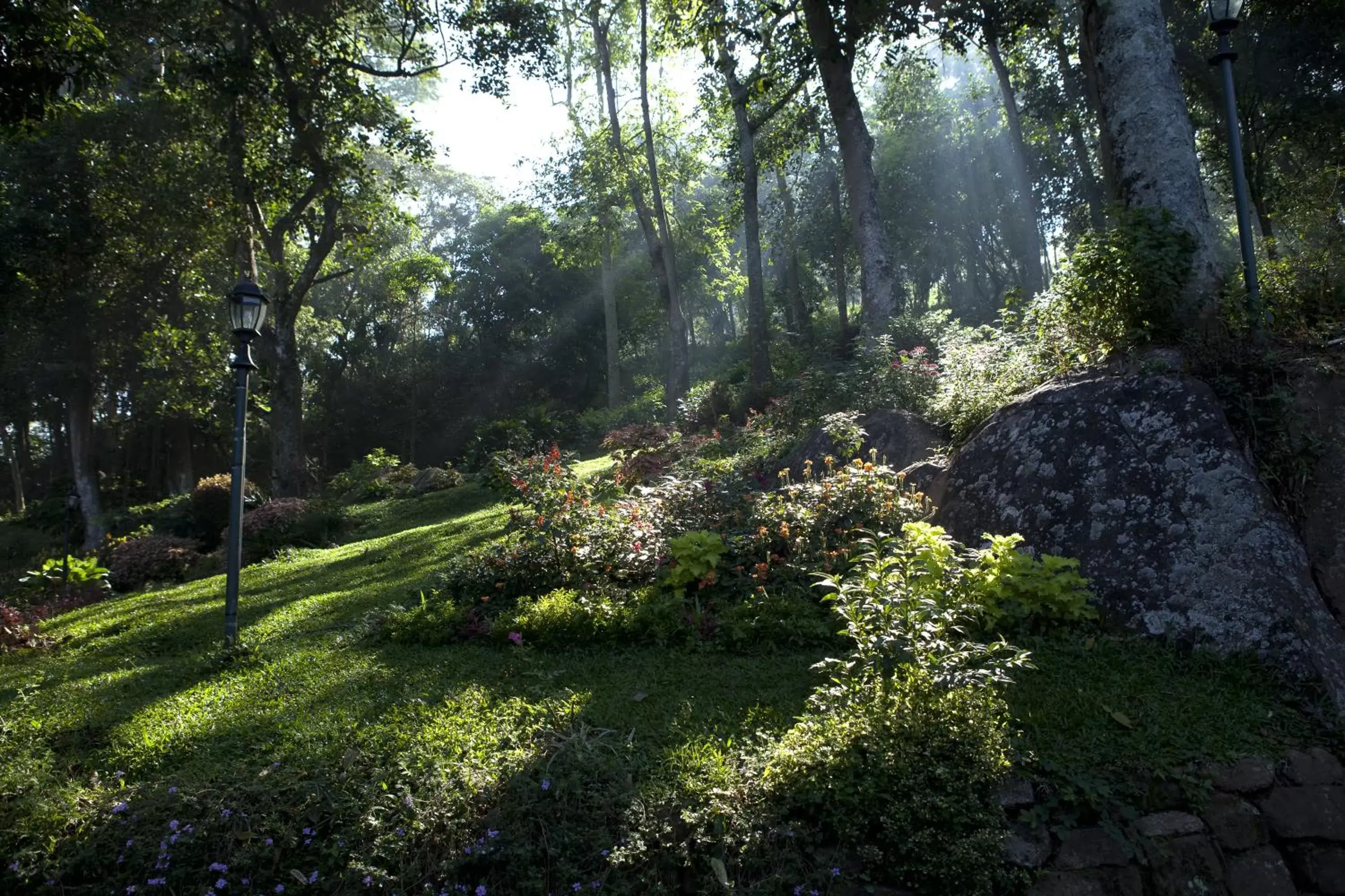 Garden view, Garden in Amaya Hills Kandy