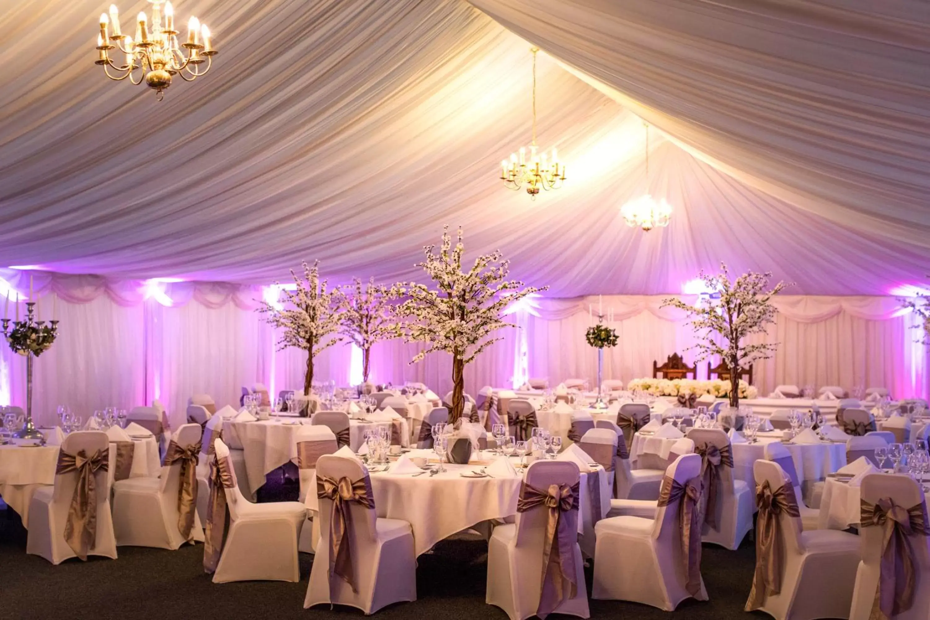 Banquet/Function facilities, Banquet Facilities in Mercure Haydock Hotel