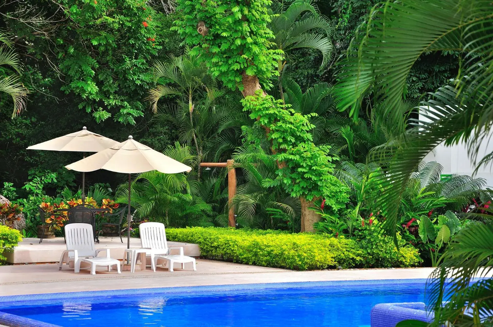 Garden, Swimming Pool in Hotel Ixzi Plus