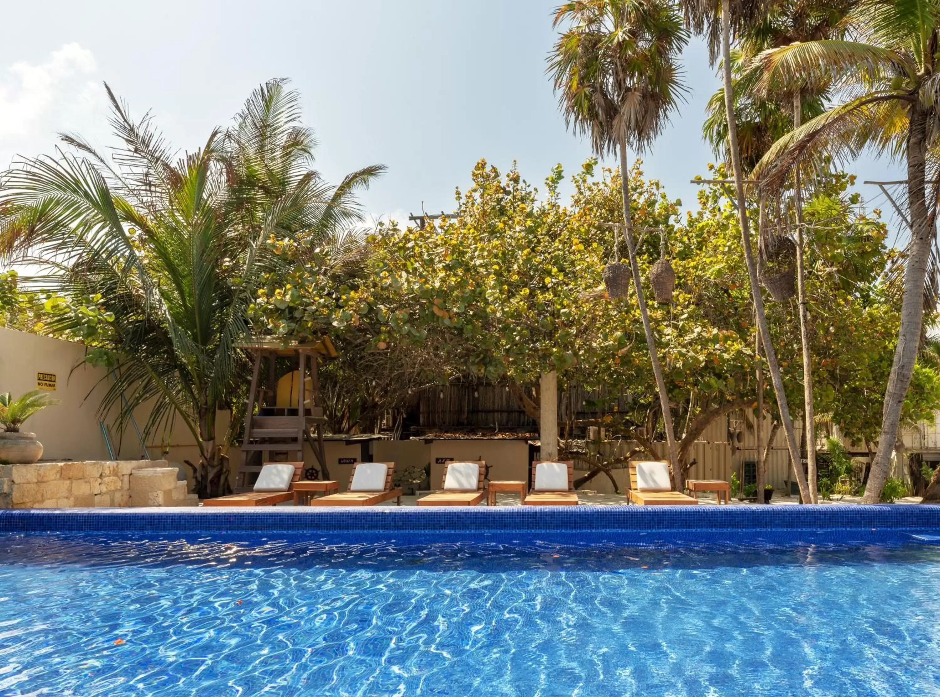 Pool view, Swimming Pool in Alquimia Hotel Boutique