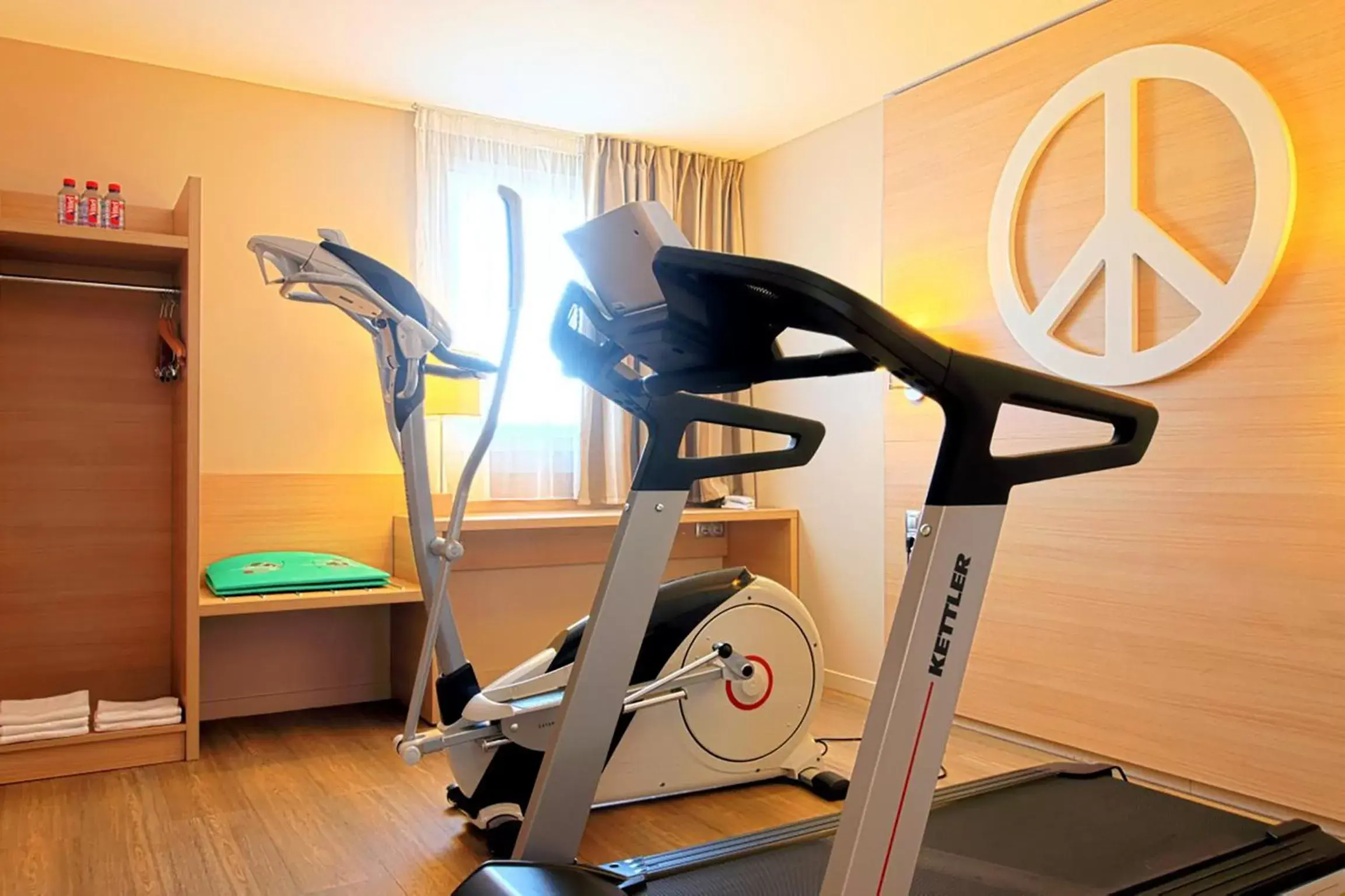 Activities, Fitness Center/Facilities in Kyriad Bourgoin-Jallieu