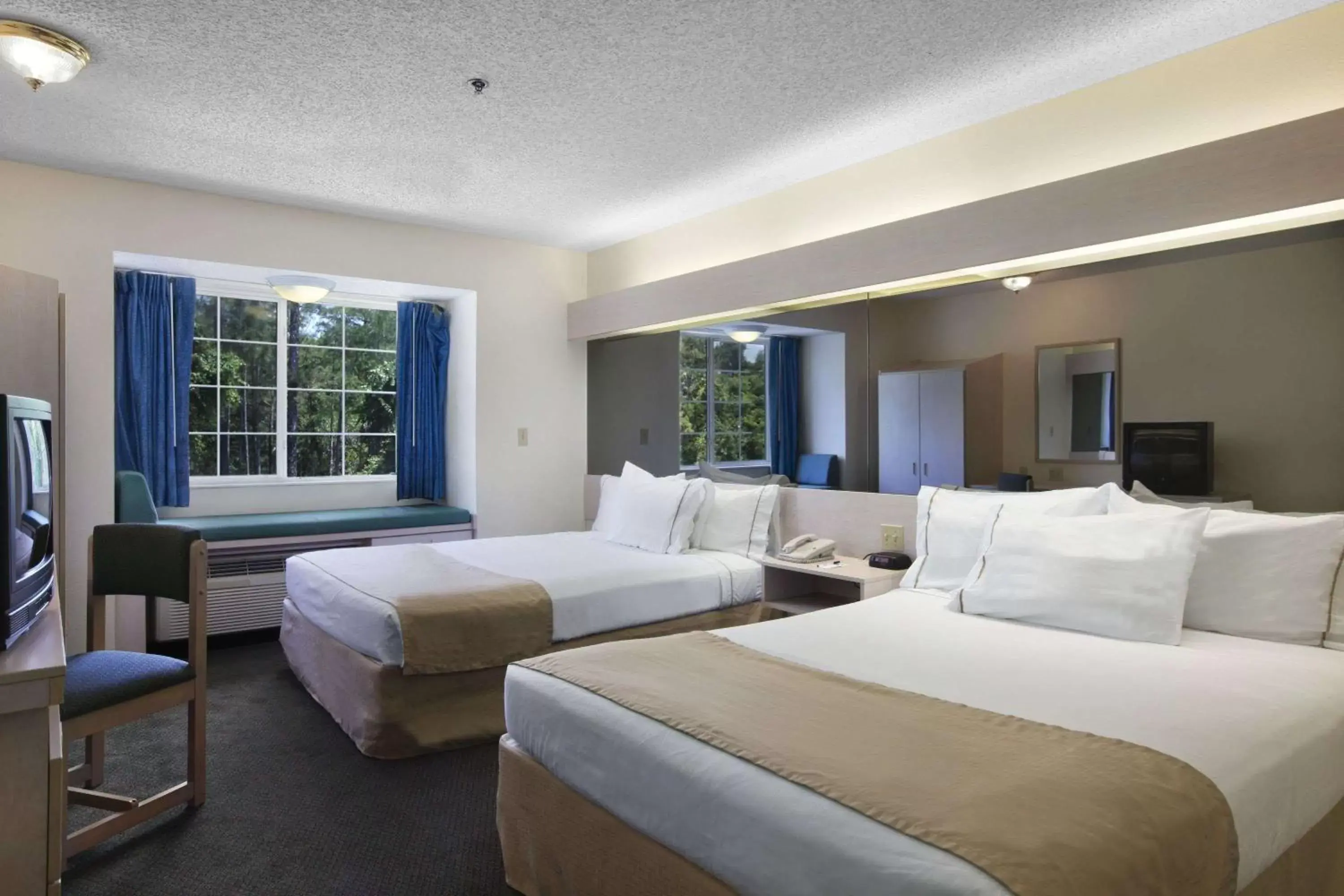 Photo of the whole room, Bed in Microtel Inn & Suites by Wyndham Palm Coast I-95