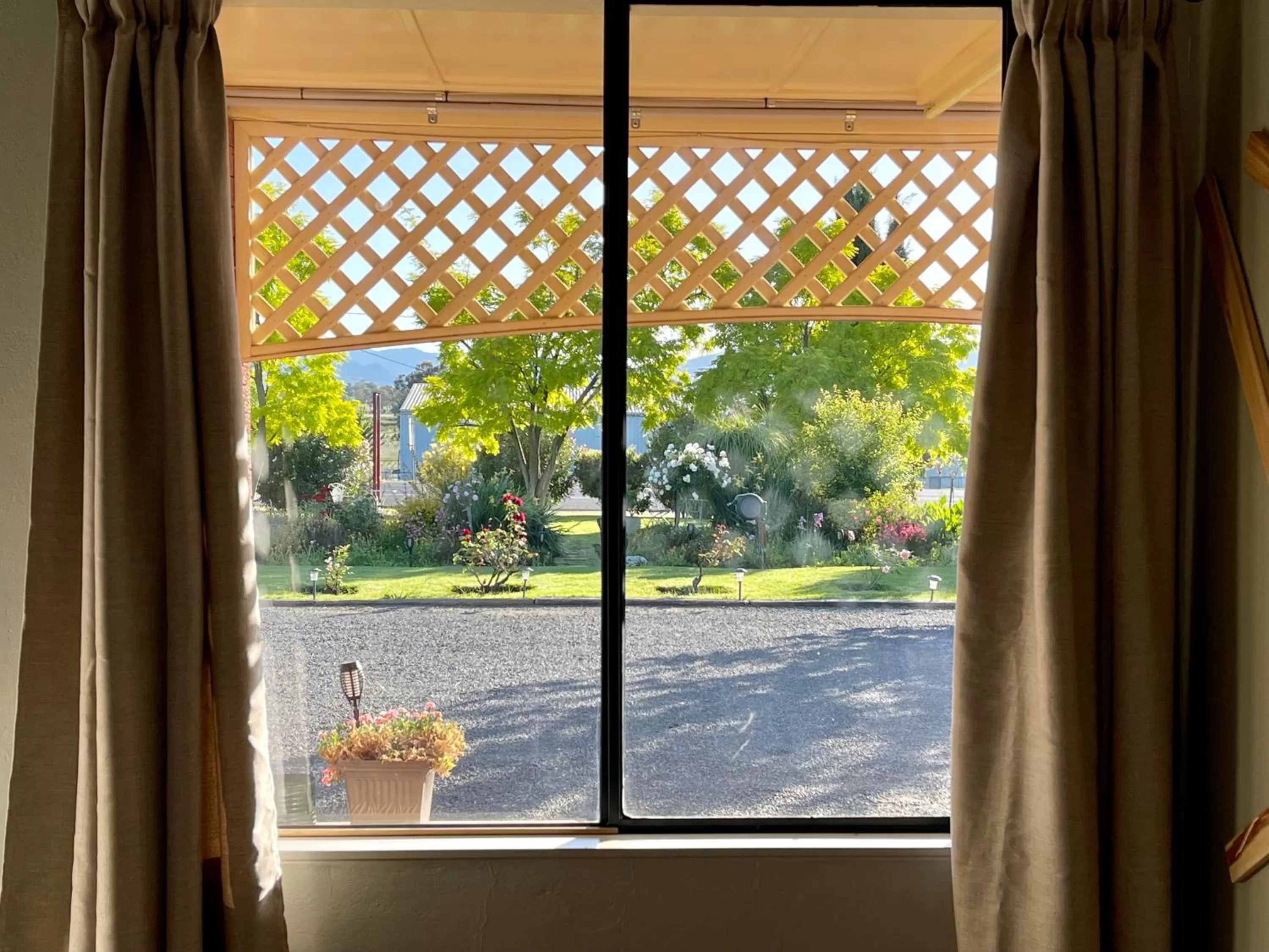Garden view in Quirindi Sunflower Motor Inn