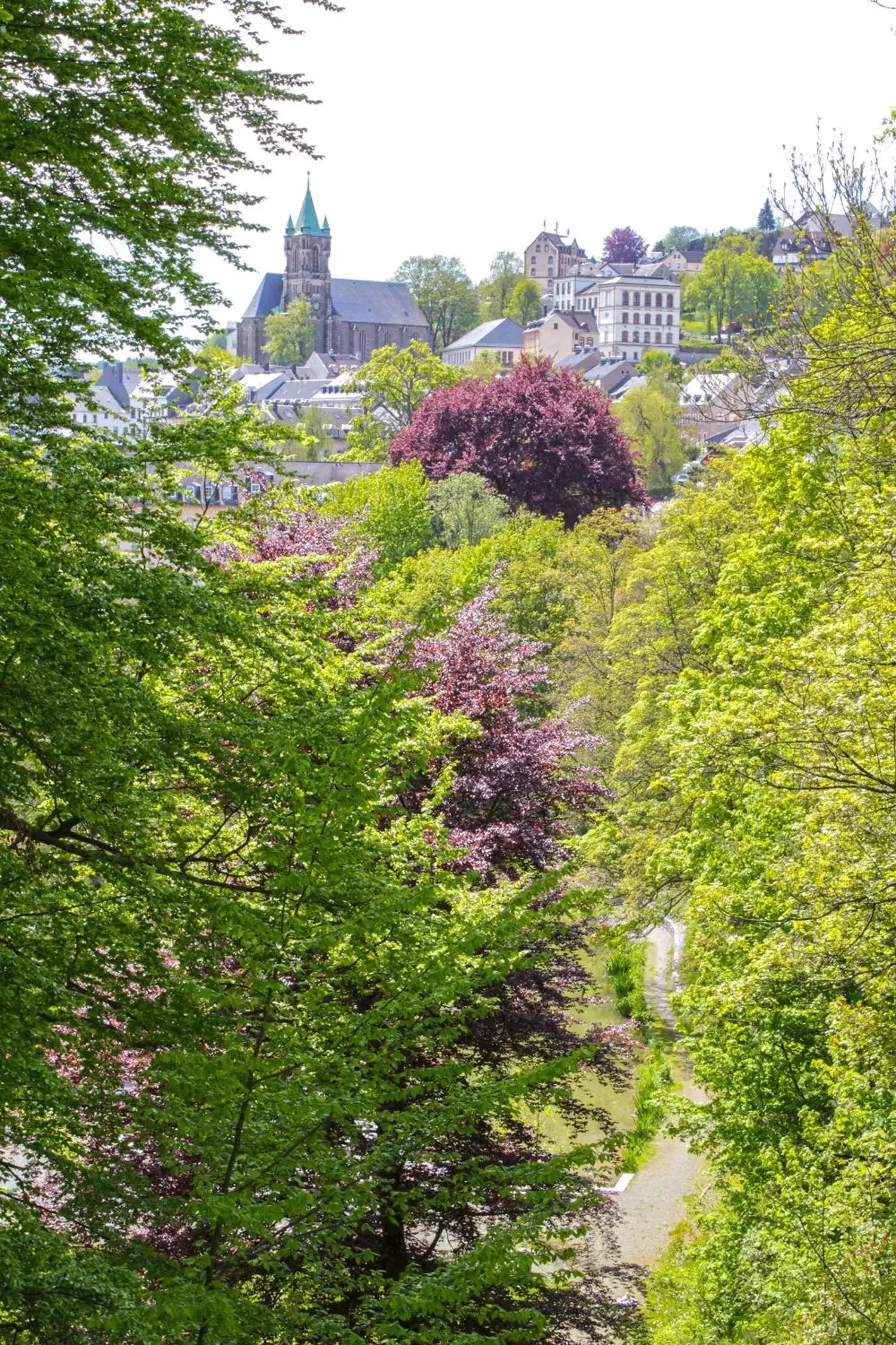 City view in Parkhotel Waldschlösschen