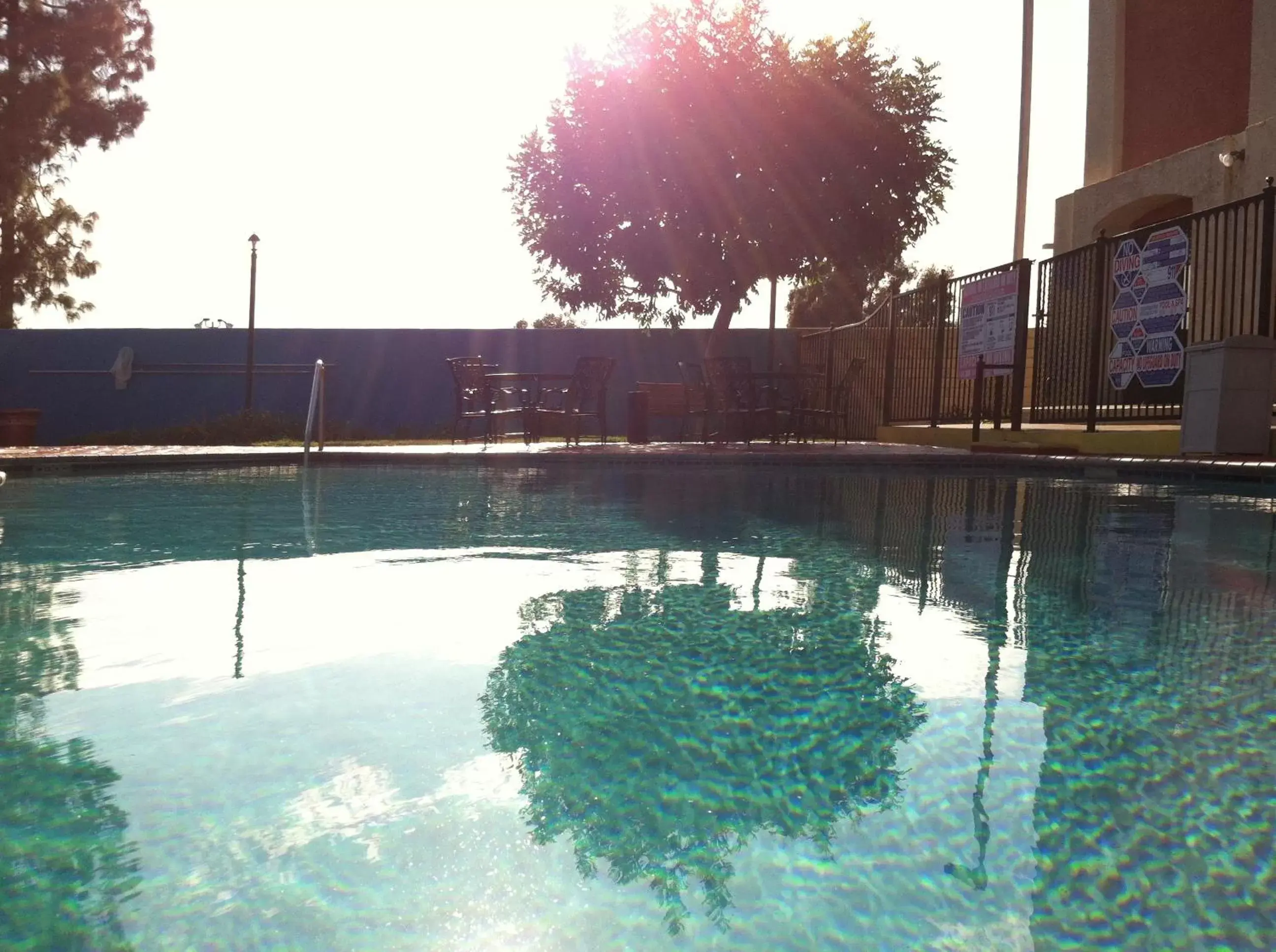 Swimming Pool in Best Western Plus - Anaheim Orange County Hotel