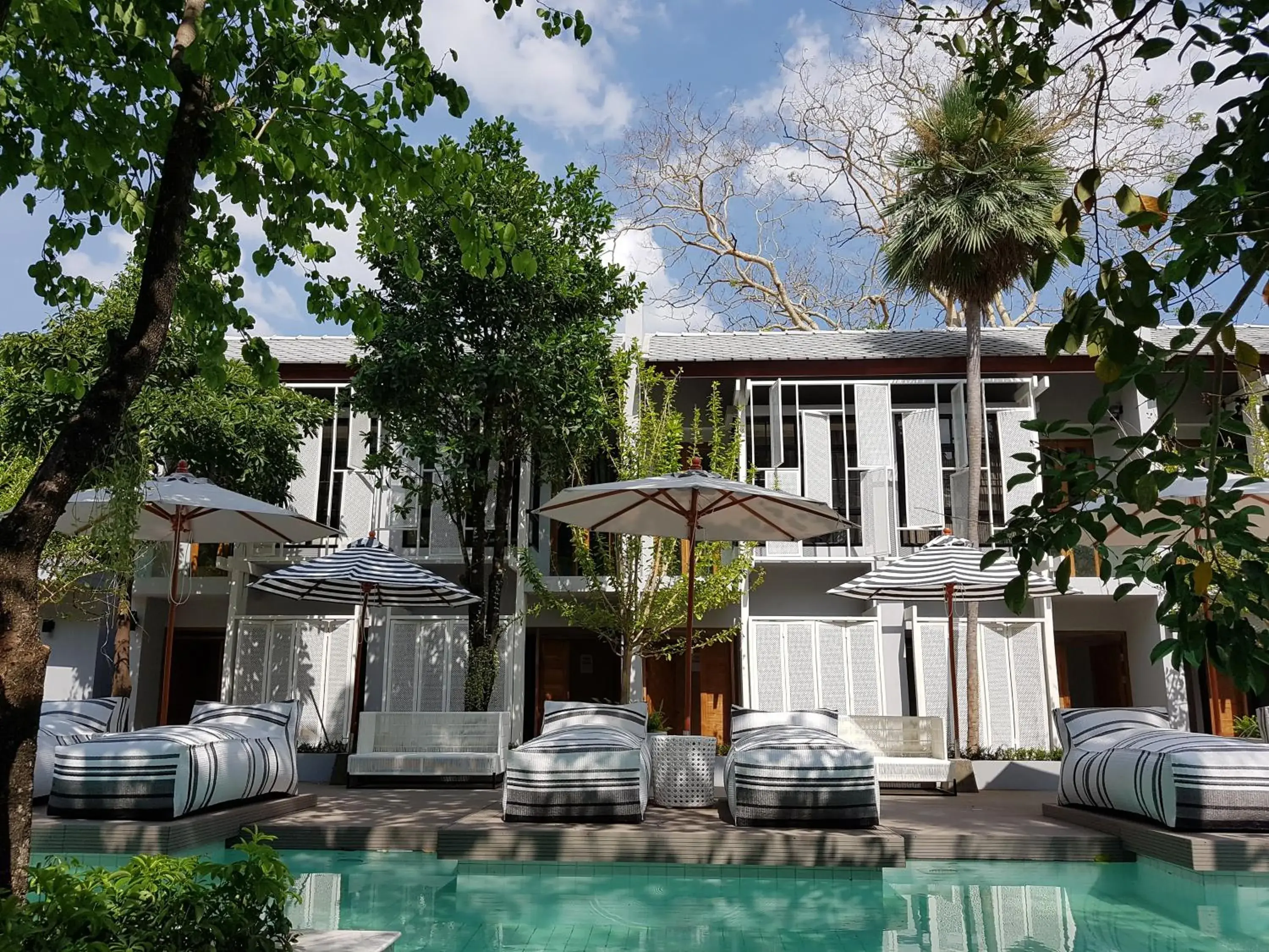 Swimming pool, Property Building in Treevana Club Chiangmai