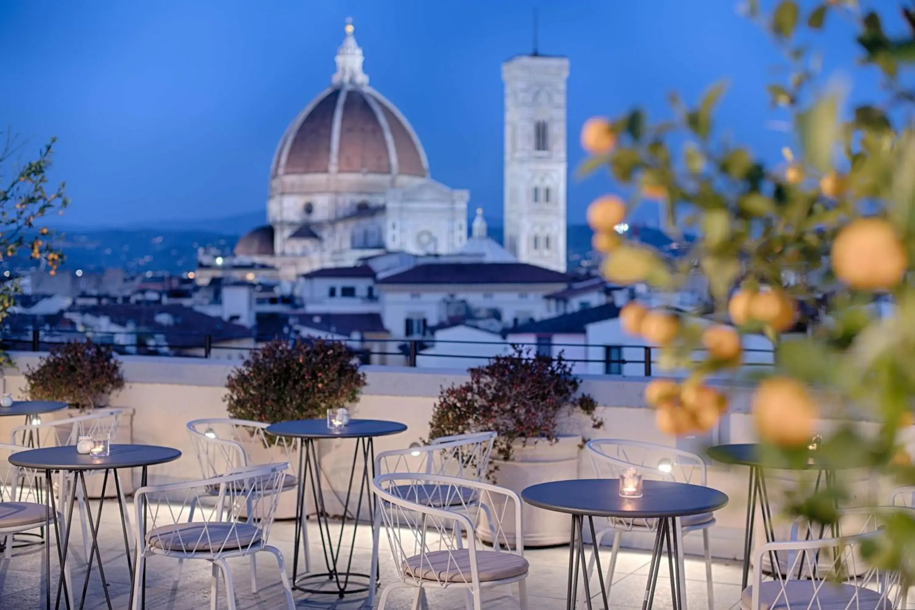 Restaurant/places to eat in NH Collection Palazzo Gaddi