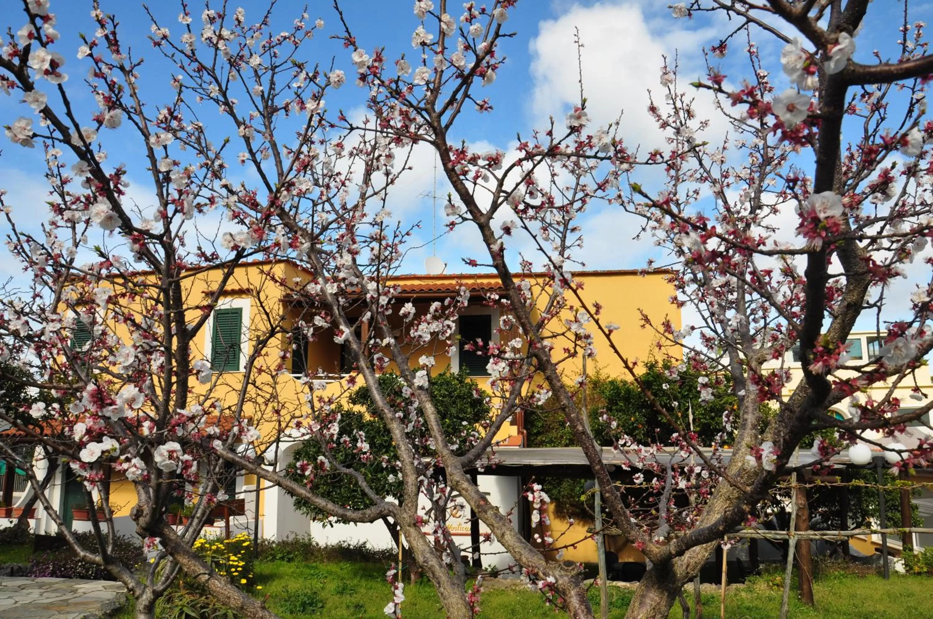 Garden in Hotel La Marticana
