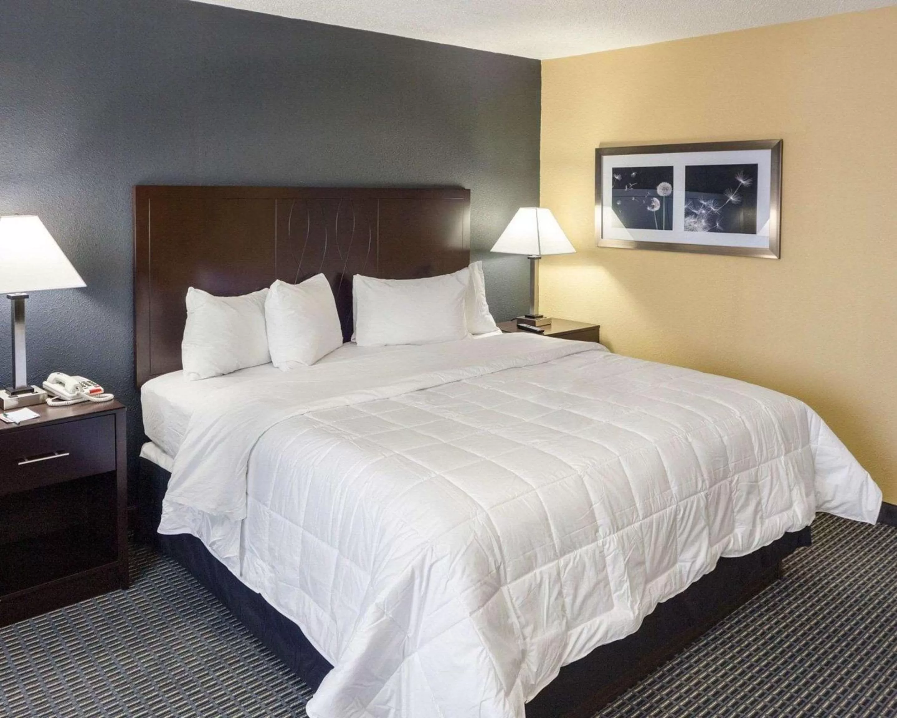 Bedroom, Bed in Quality Inn Montpelier