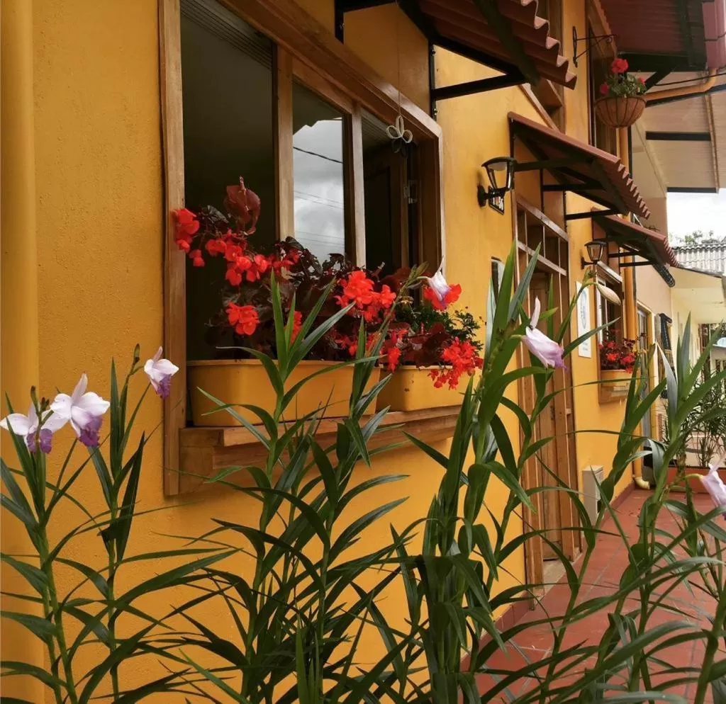 Quiet street view in Hotel La Caracola