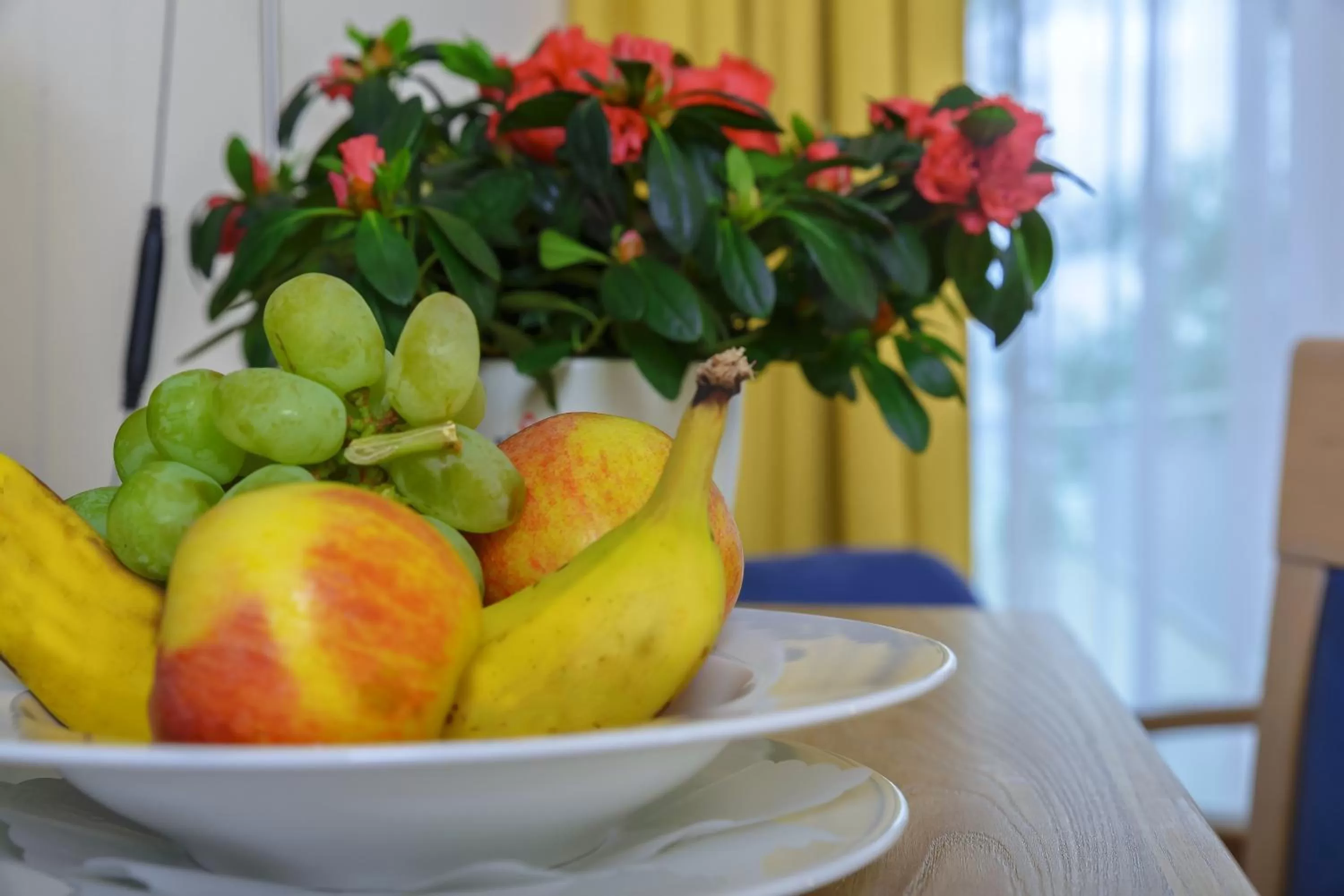 Food in Hotel Restaurant Sokrates