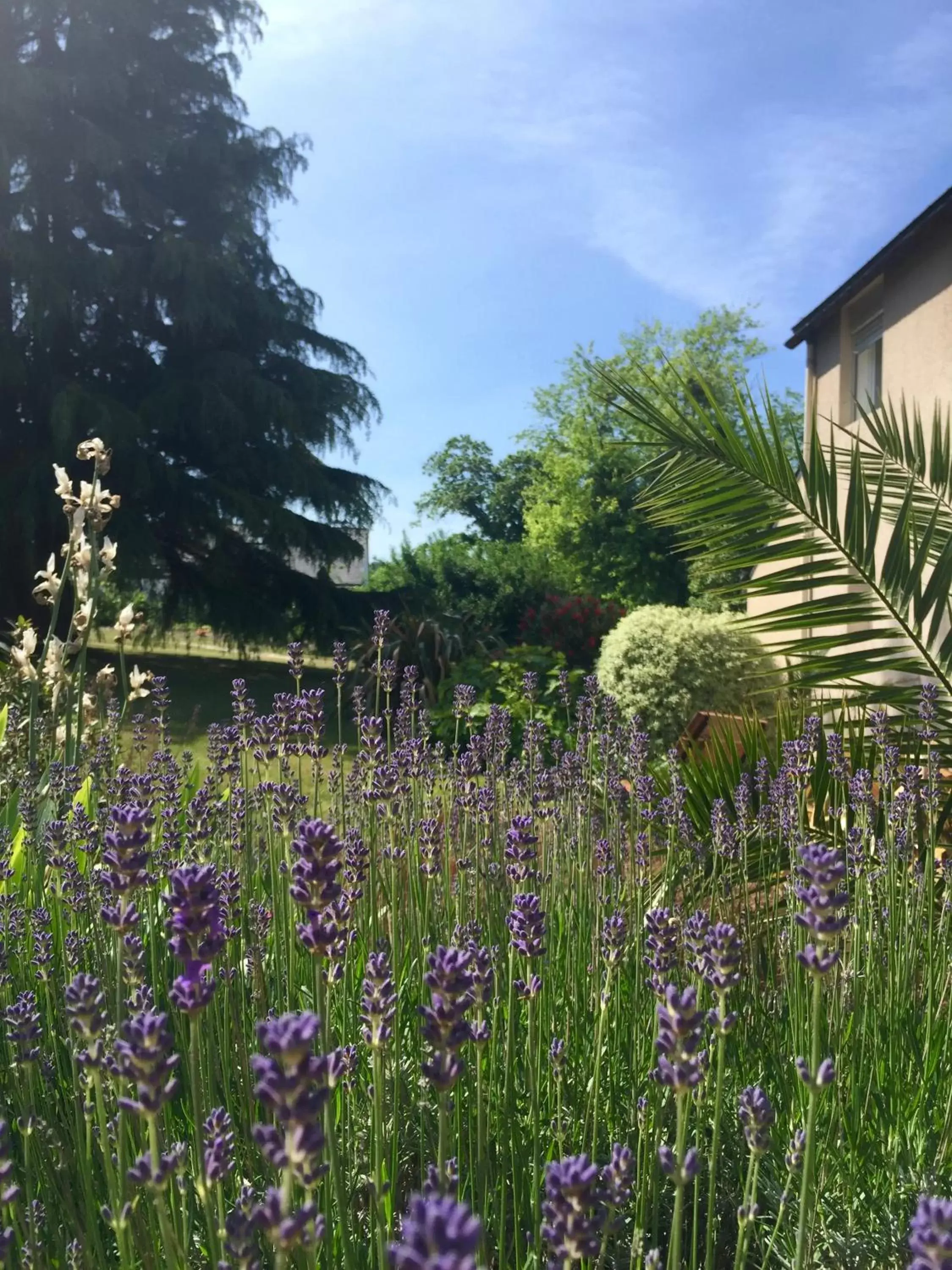 Garden in Hotel Le Branhoc - Brit Hotel Auray