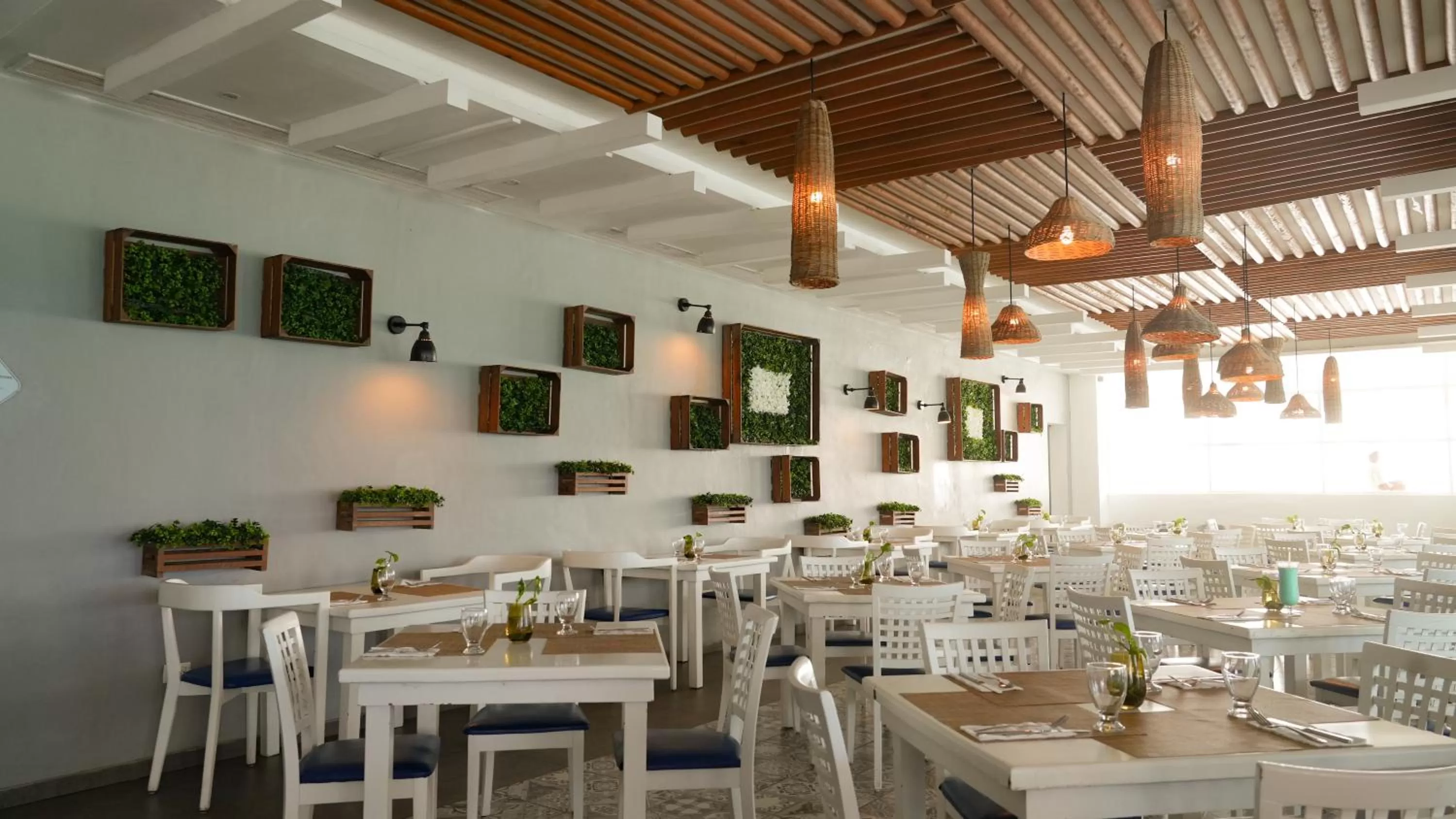 Restaurant/places to eat in Oleo Cancun Playa All Inclusive Resort