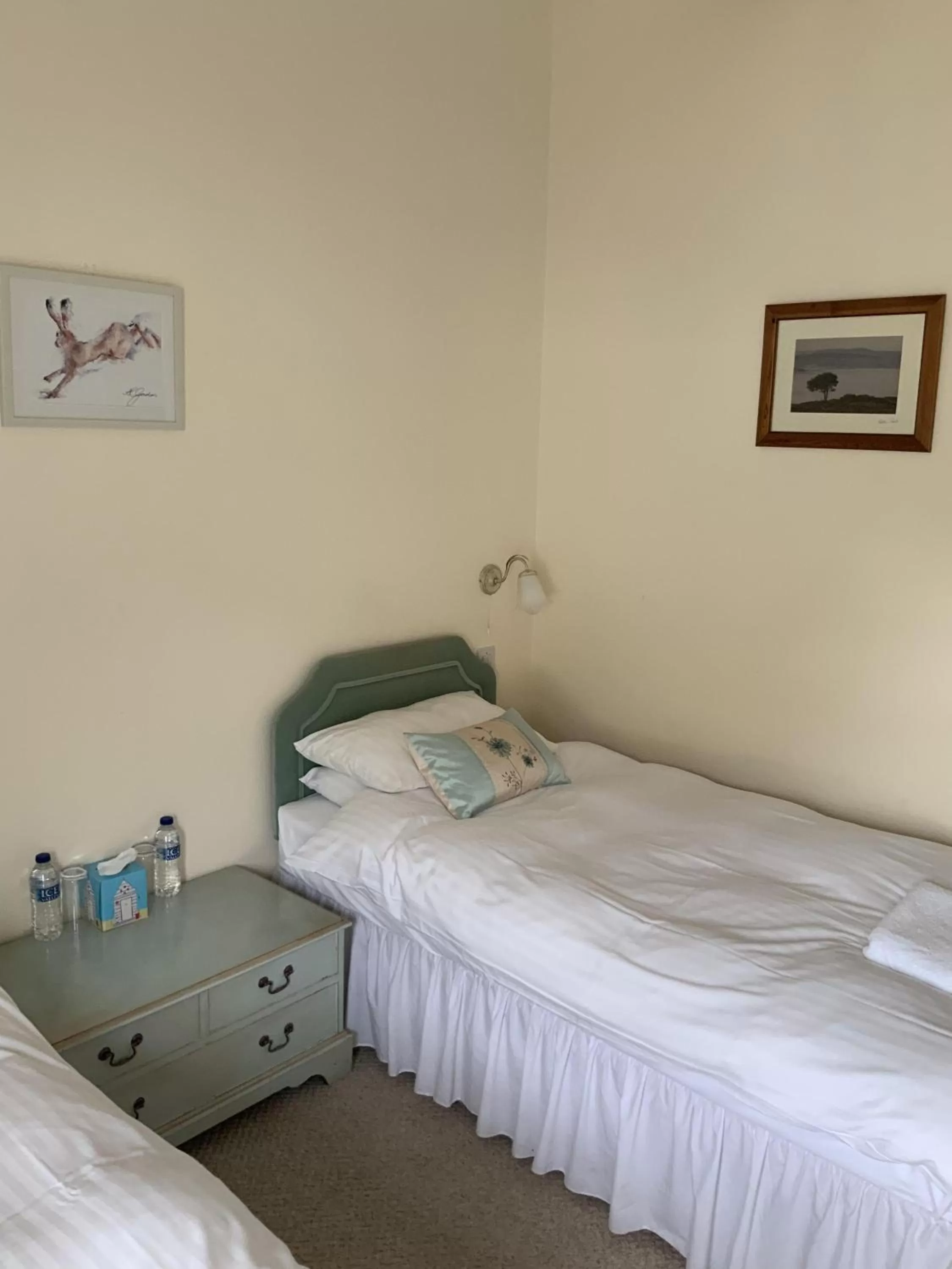 Small Twin Room in The Carew Arms