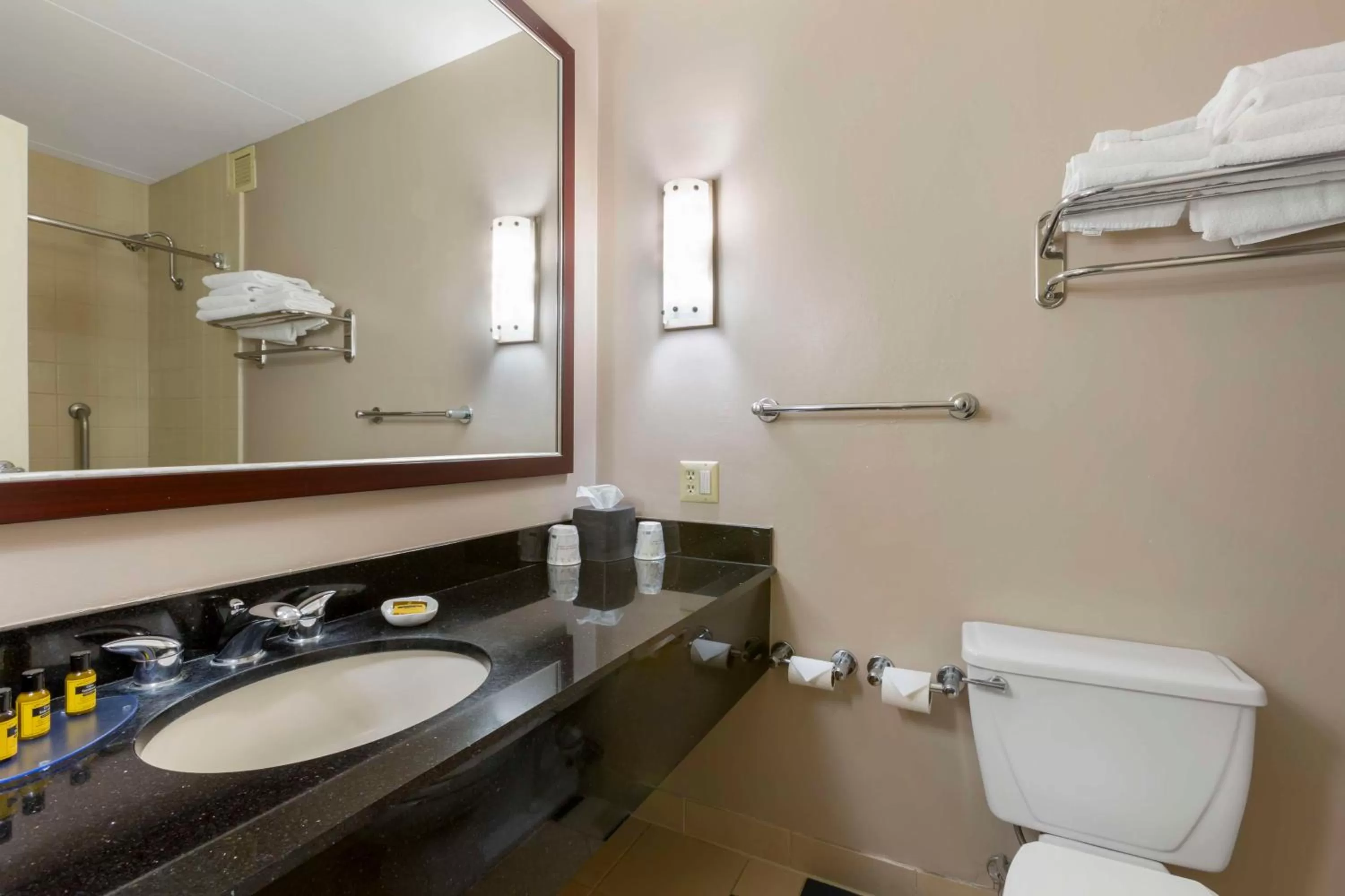 Bathroom in Best Western Plus University Inn