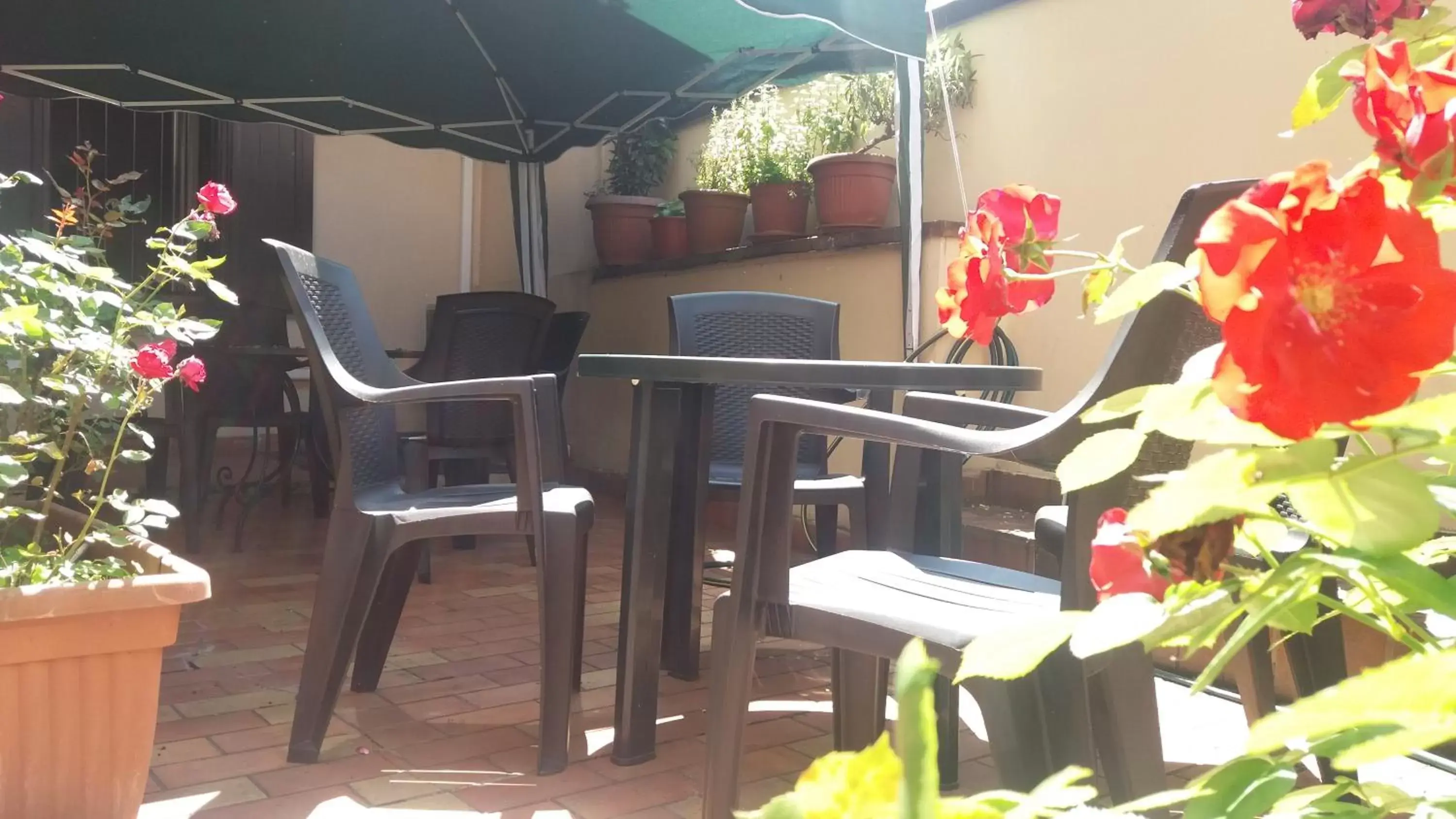 Patio in Hotel San Giorgio