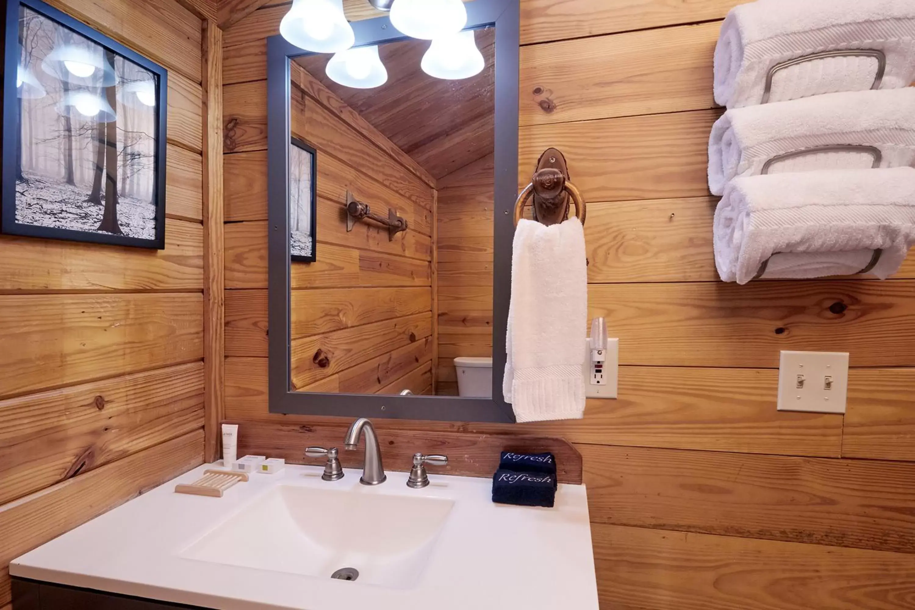 Bathroom in Asheville River Cabins